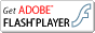 FlashPlayer�̓���T�C�g