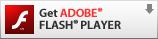 adobe_flash_player