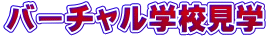 �o�[�`�����w�Z���w