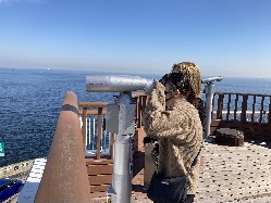 海ホタルで 何が見える？