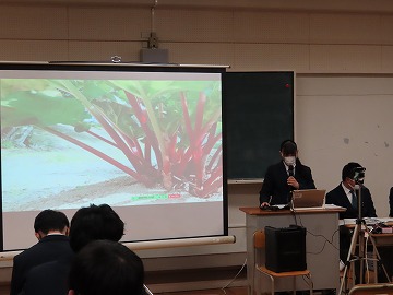 ۑ茤Q
