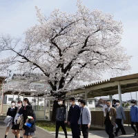 新任式・始業式の画像