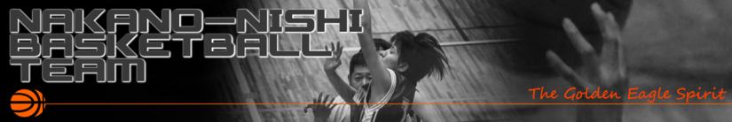 bb_basket_g.png