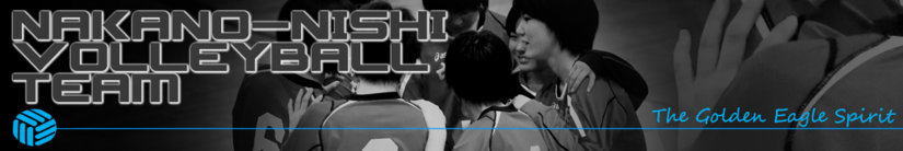 bb_volley_g.png