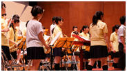DSCm1734.jpg