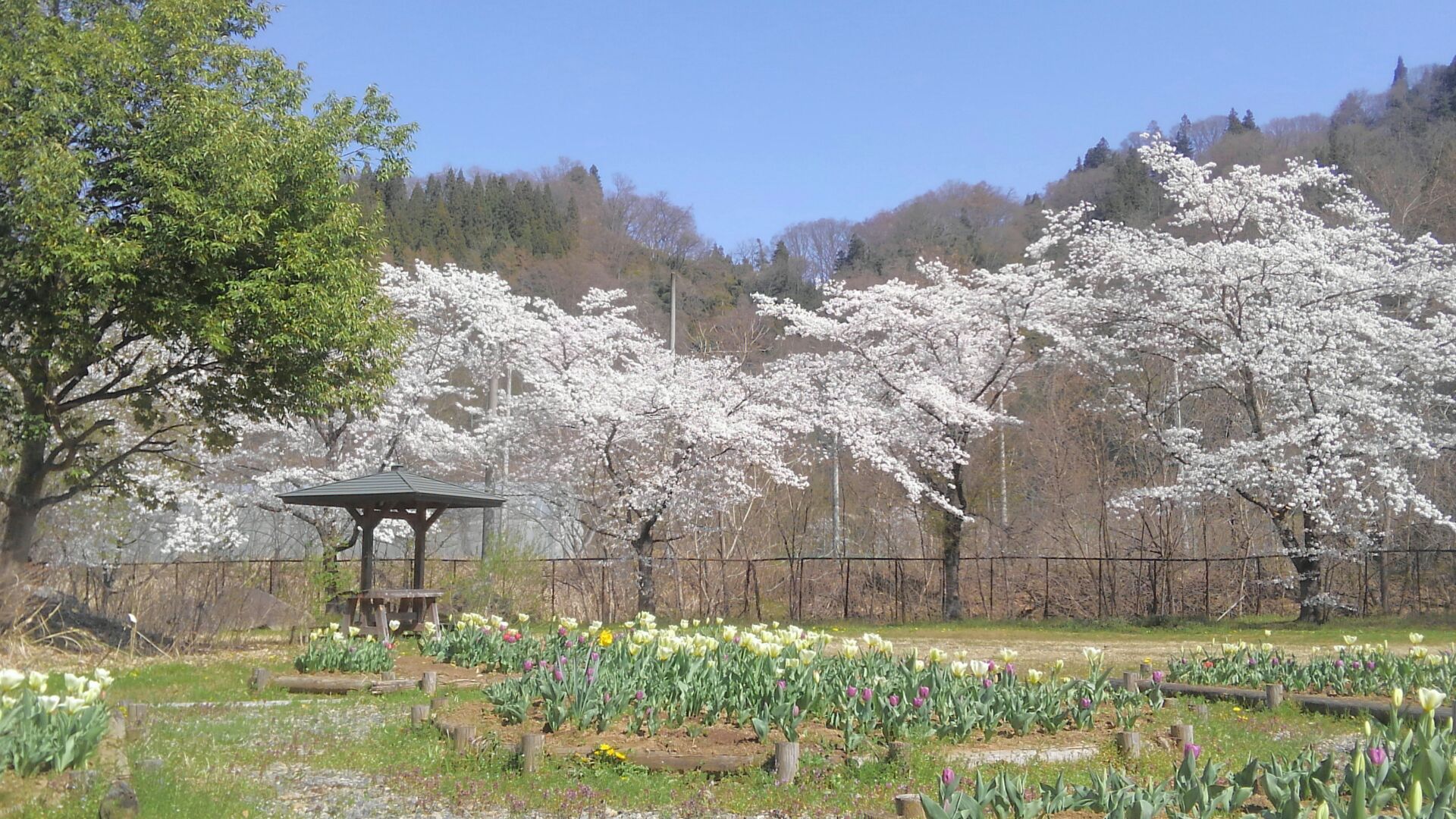 学校設定科目”ベーシック” 長野県長野西高等学校中条校