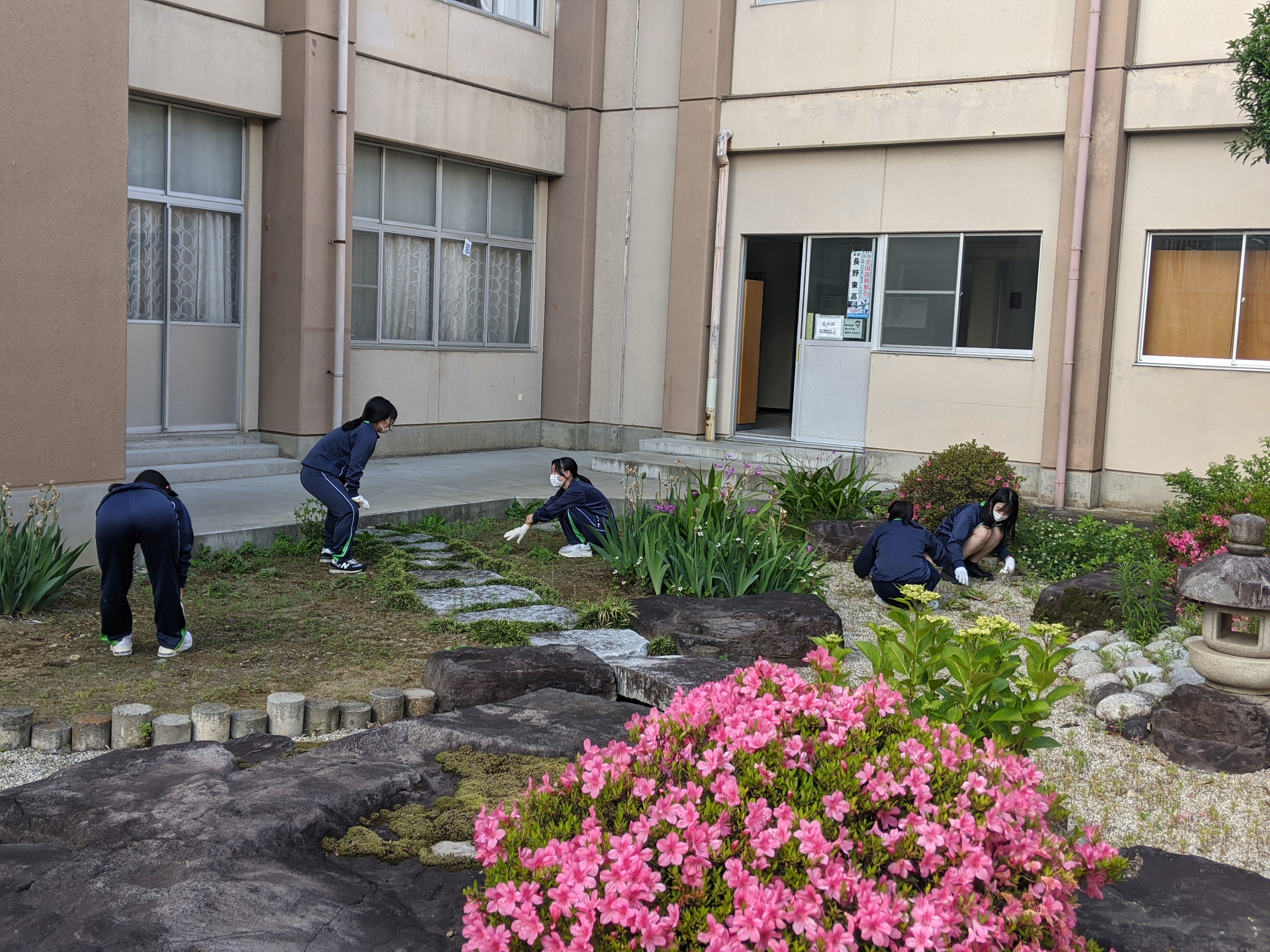 枯山水の草取りの様子