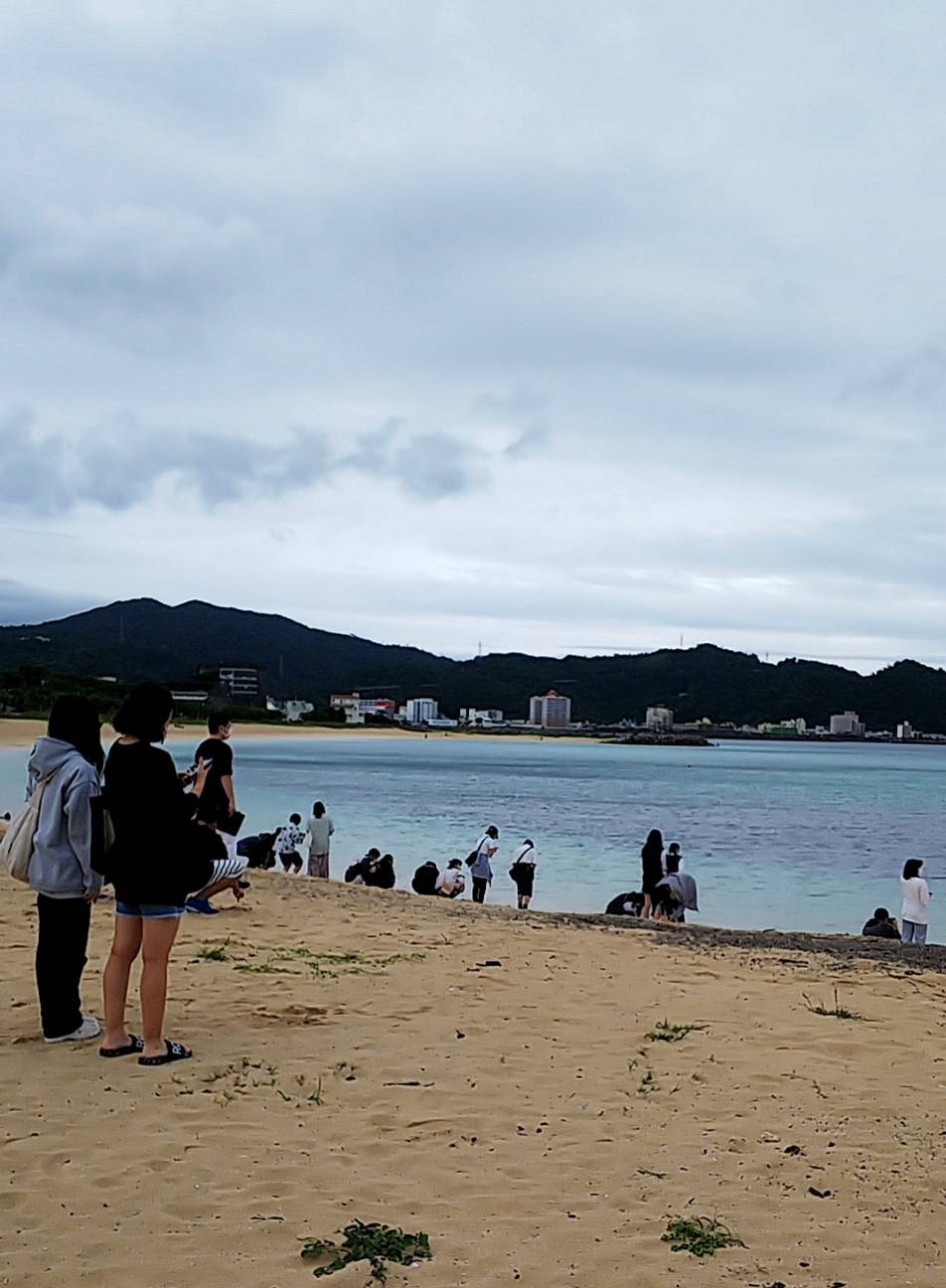 ビーチ散策の様子