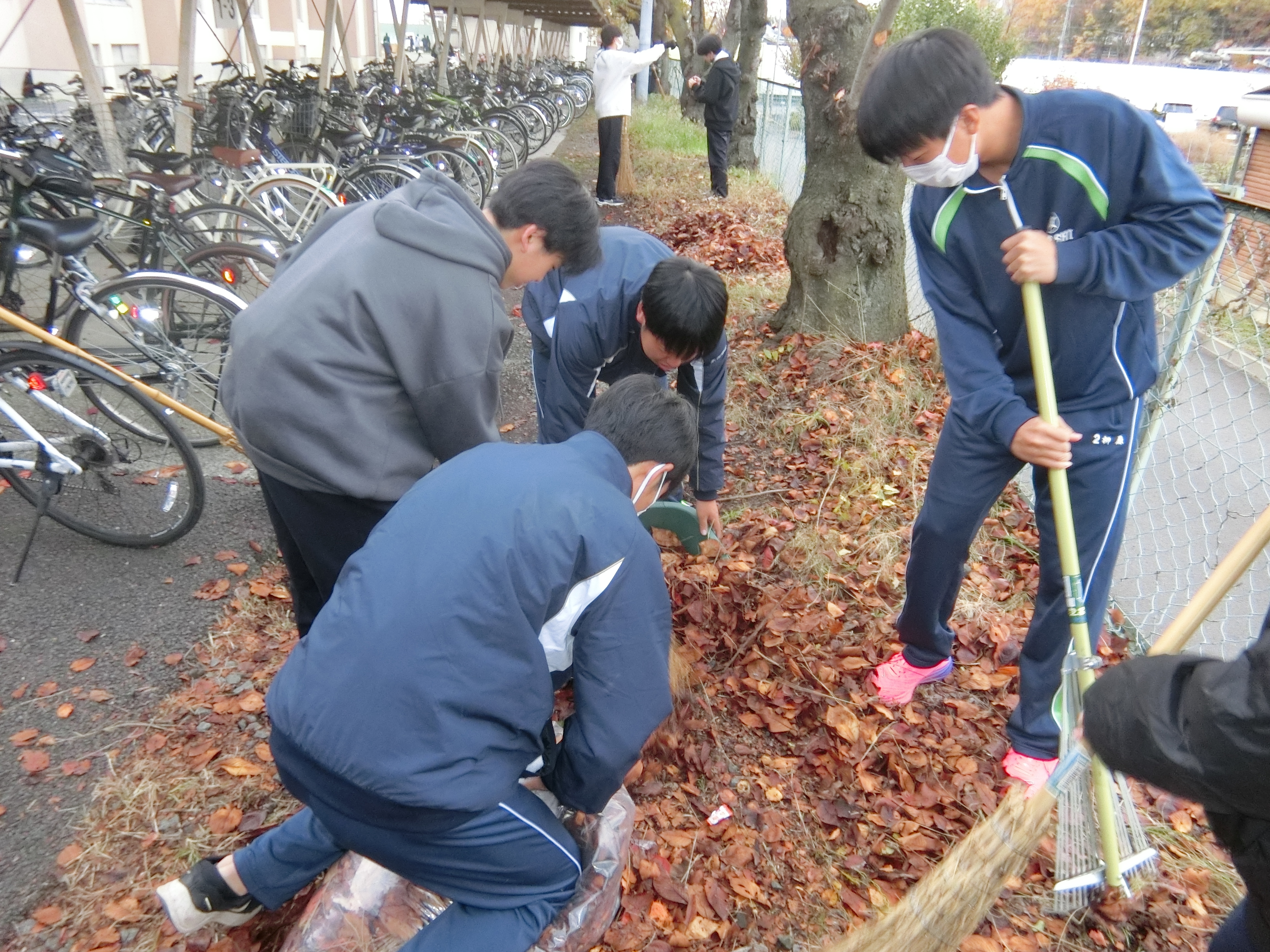 枯れ葉が何袋にも