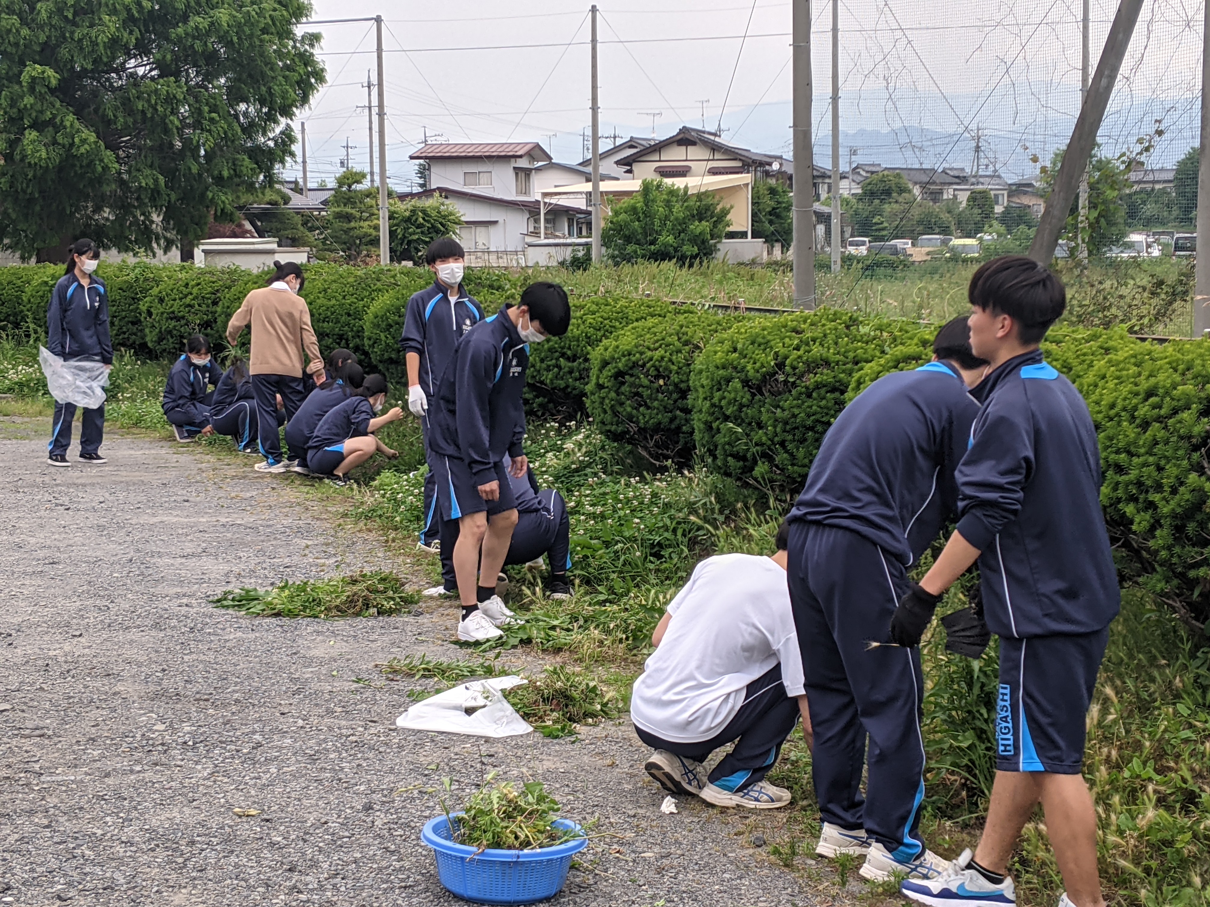 環境美化作業の様子?