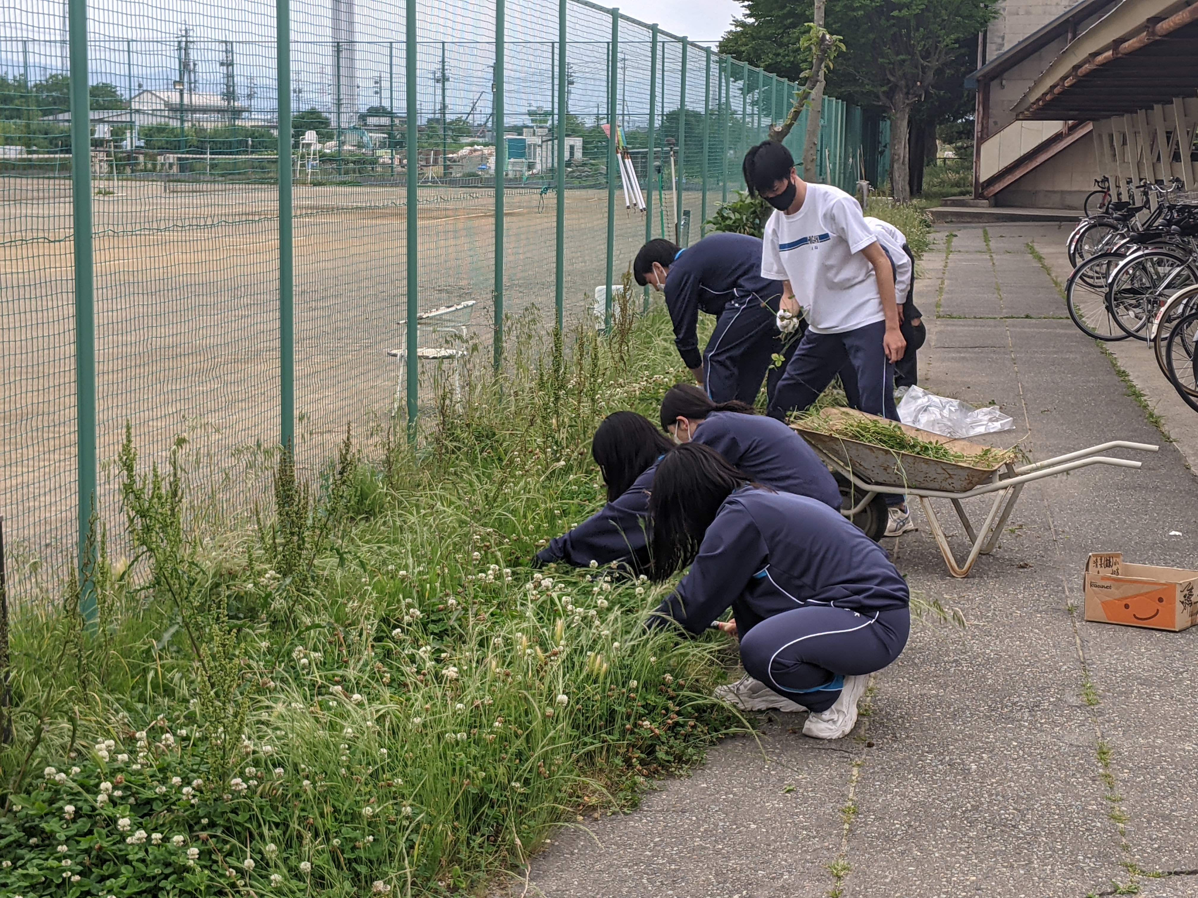 環境美化作業の様子②