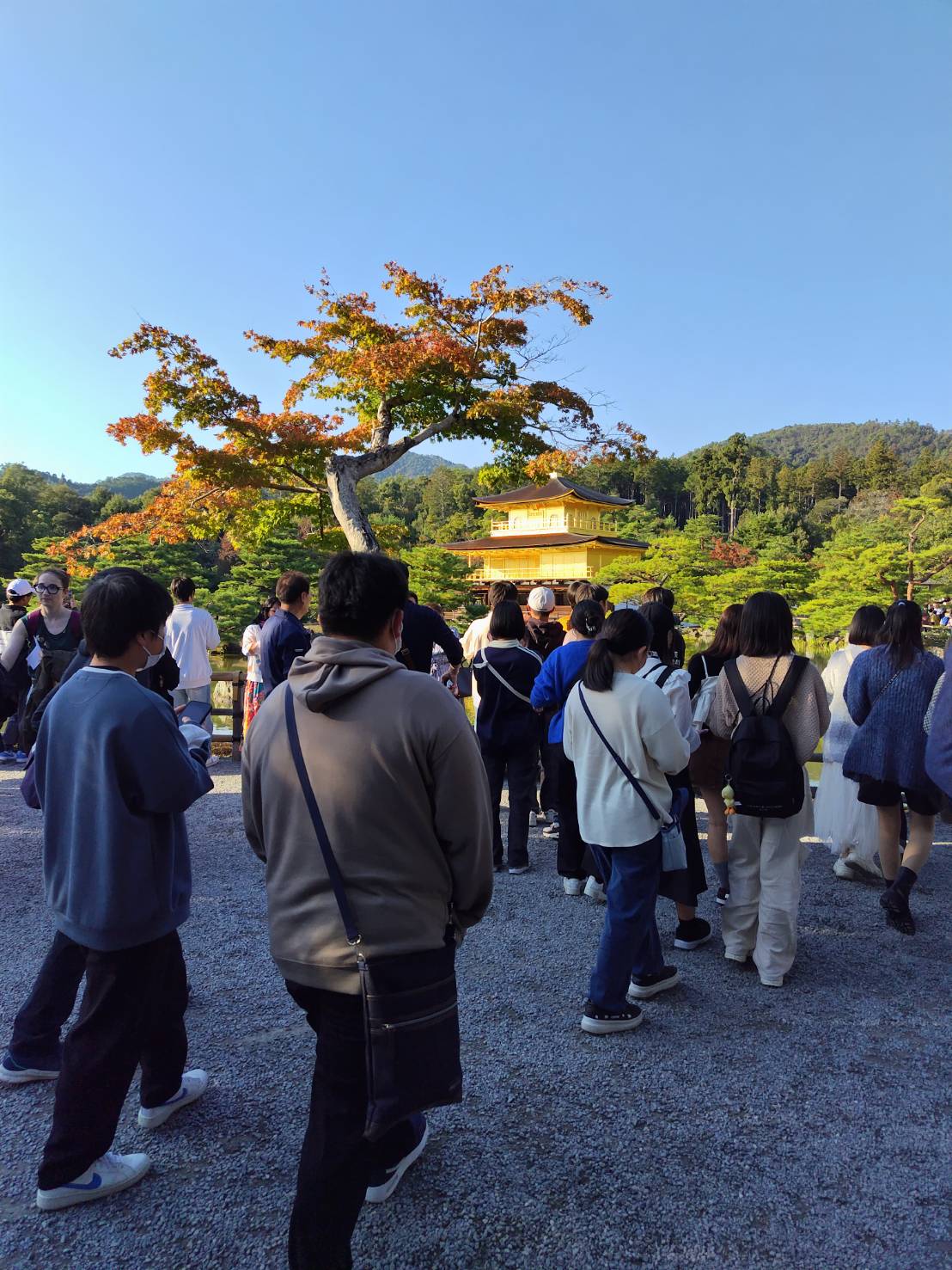 金閣寺の見学