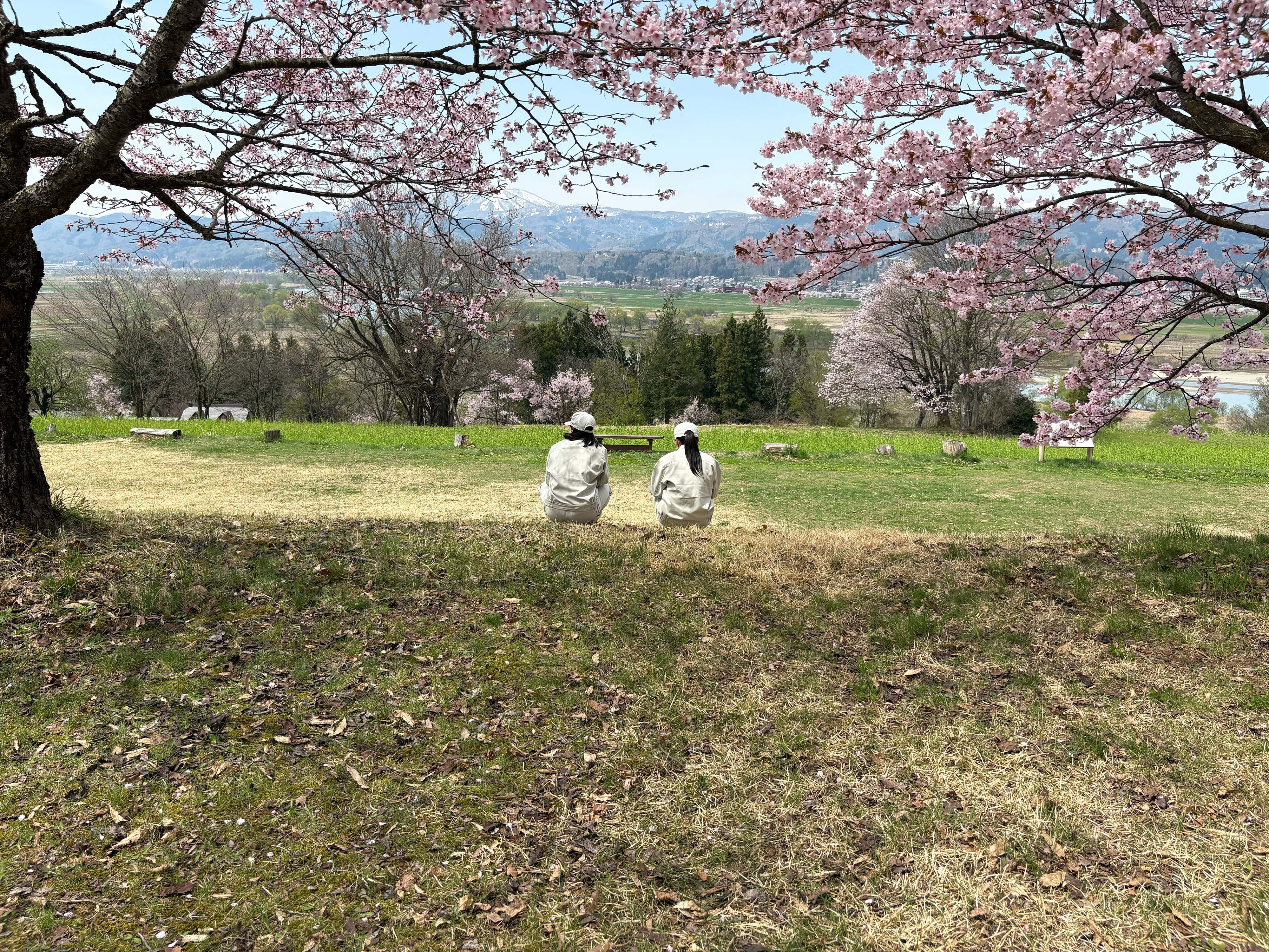 フィールドワーク