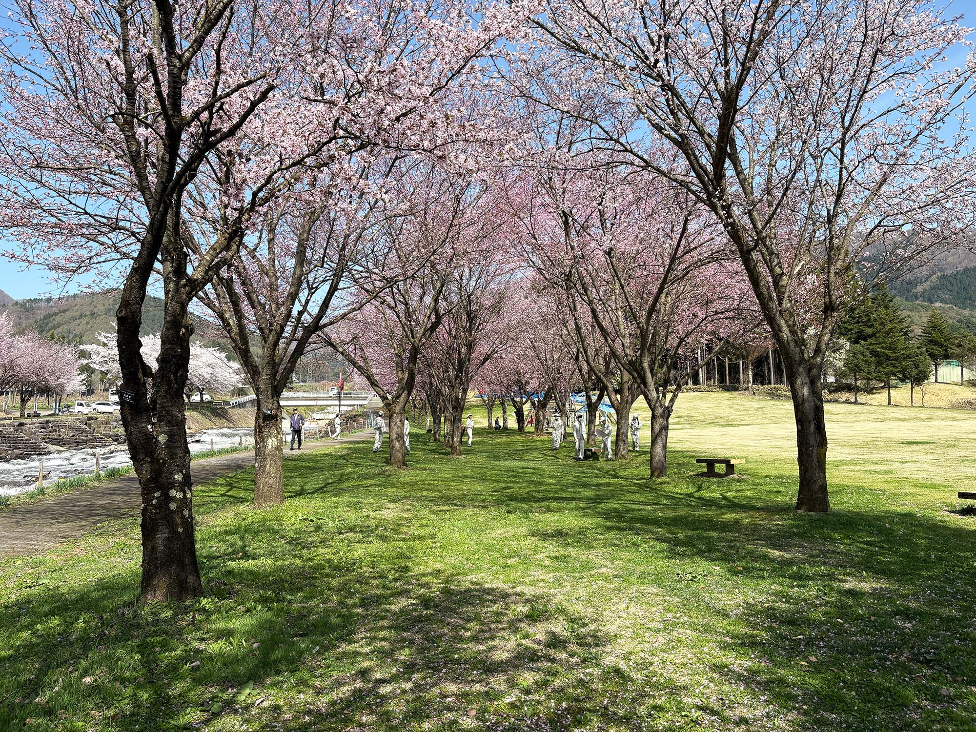 フィールドワーク