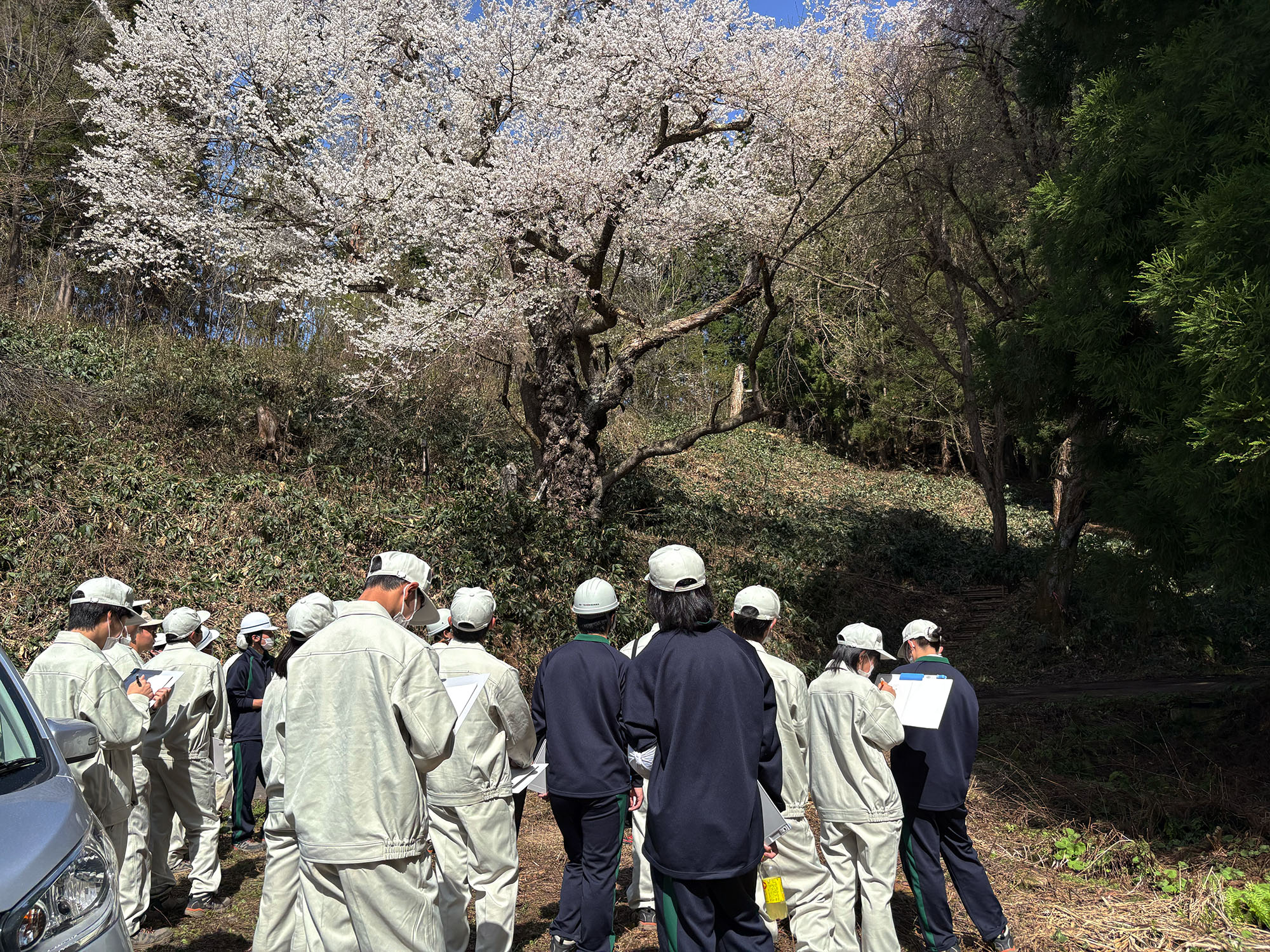 フィールドワーク