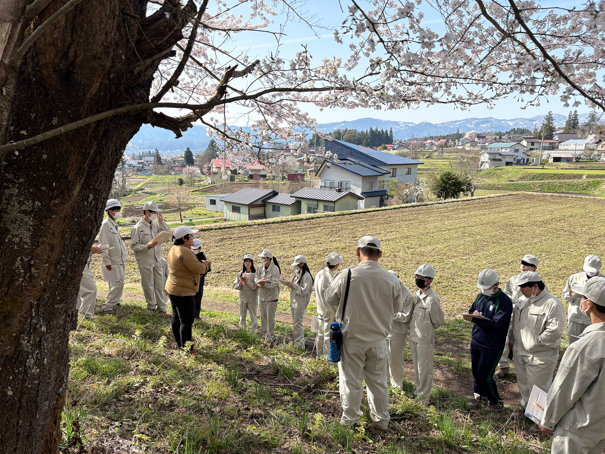 フィールドワーク