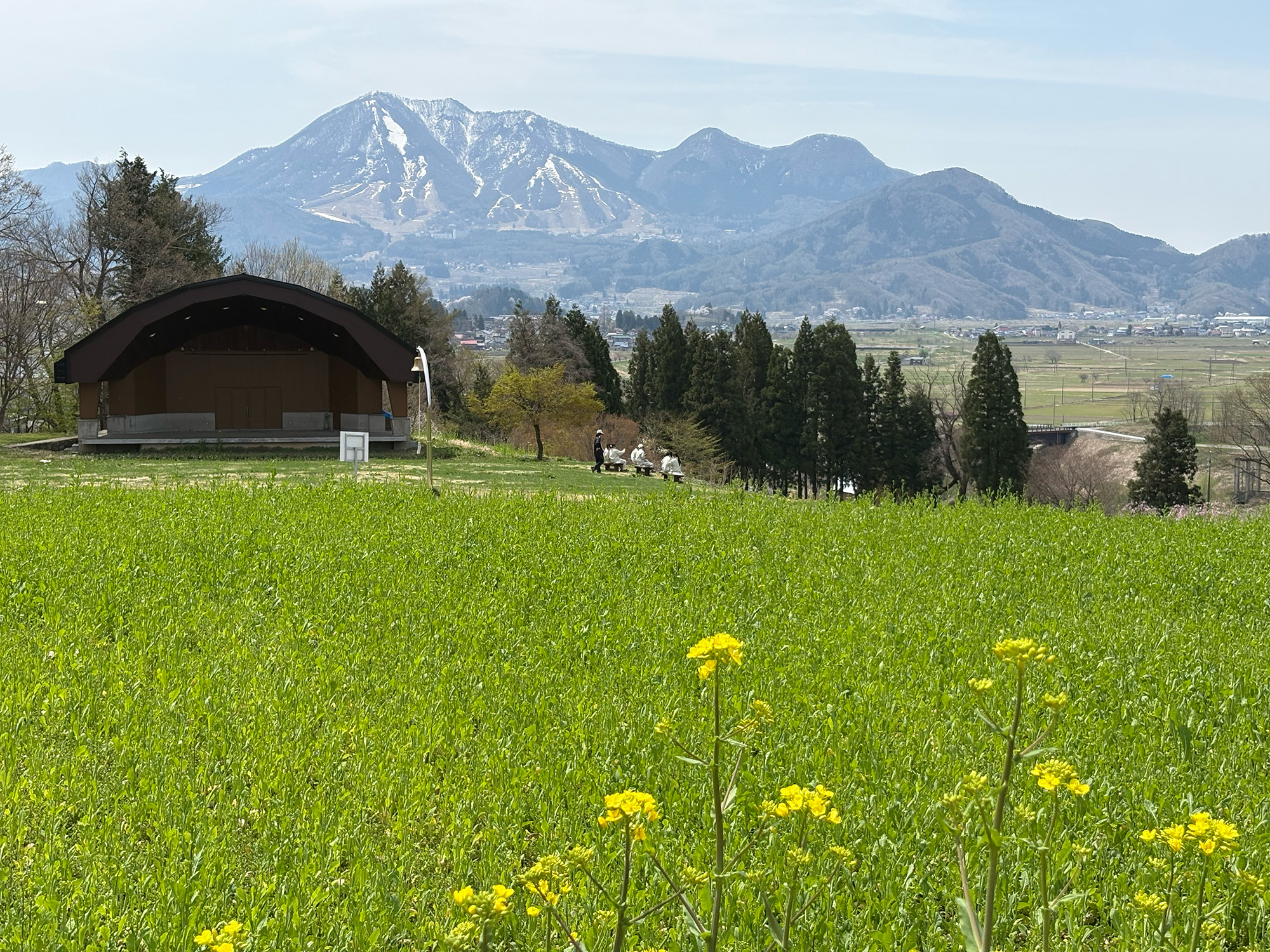 フィールドワーク