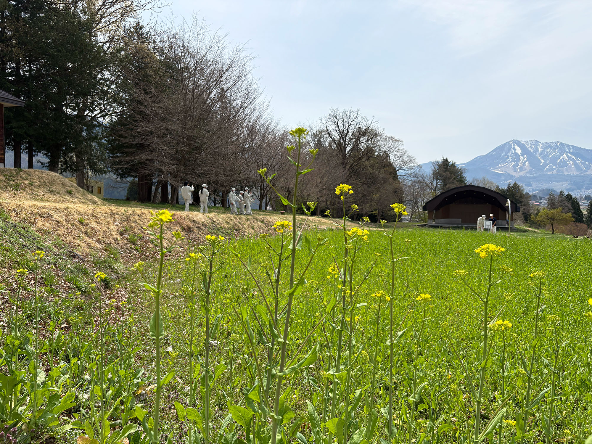 フィールドワーク