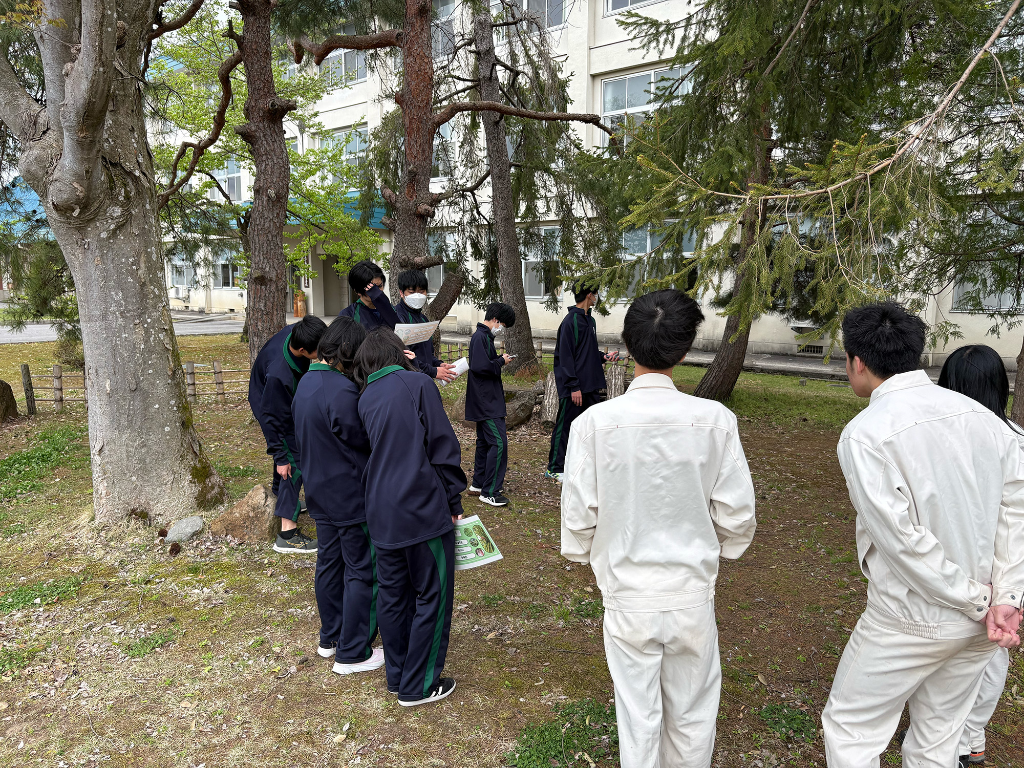 農林デイキャンプ