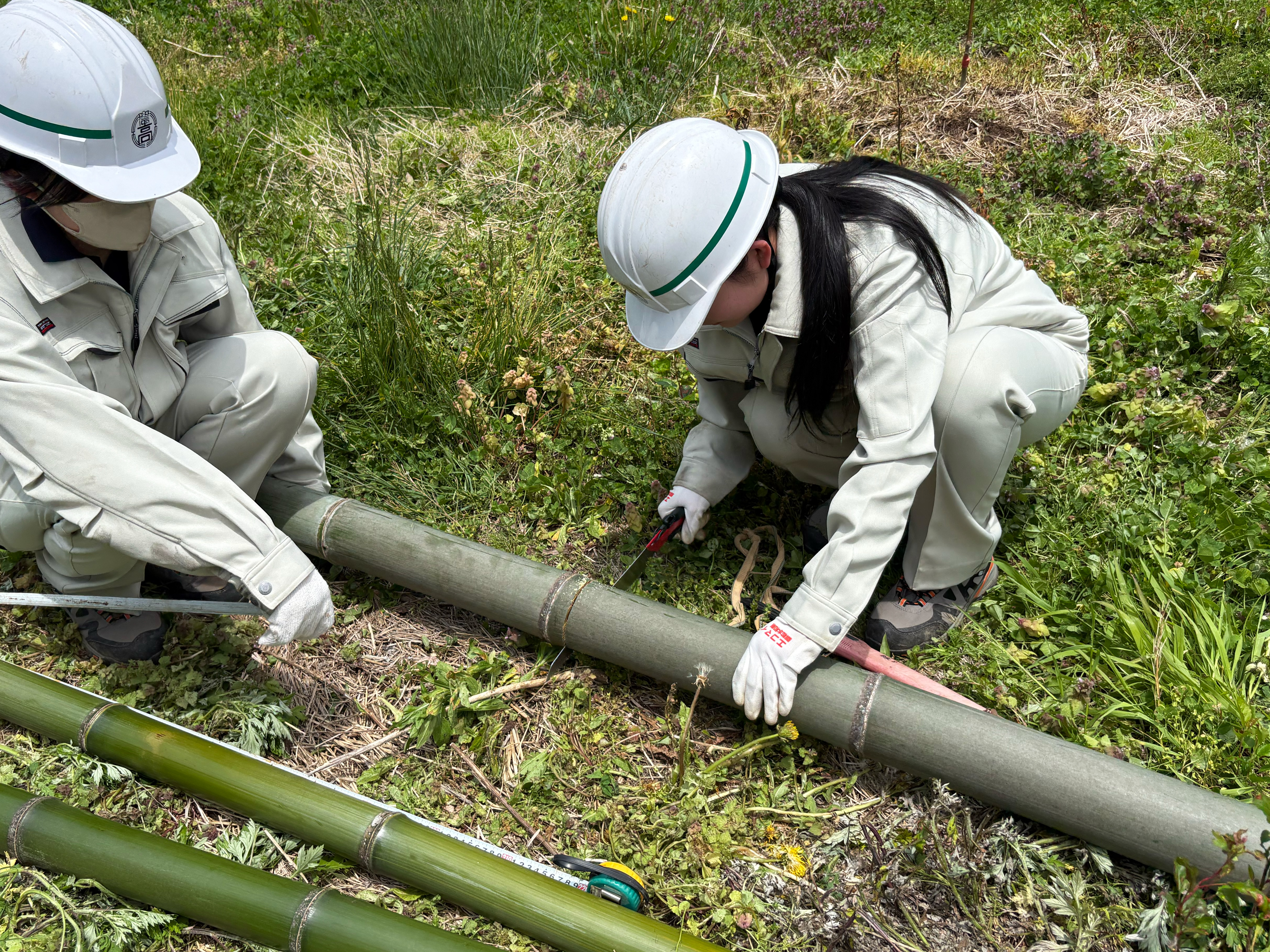 竹取物語２０２５