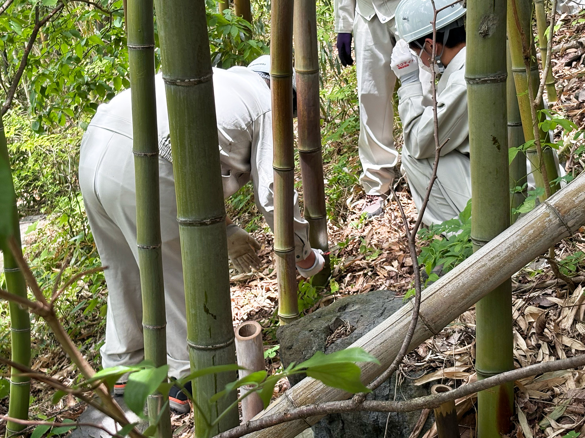竹取物語２０２５