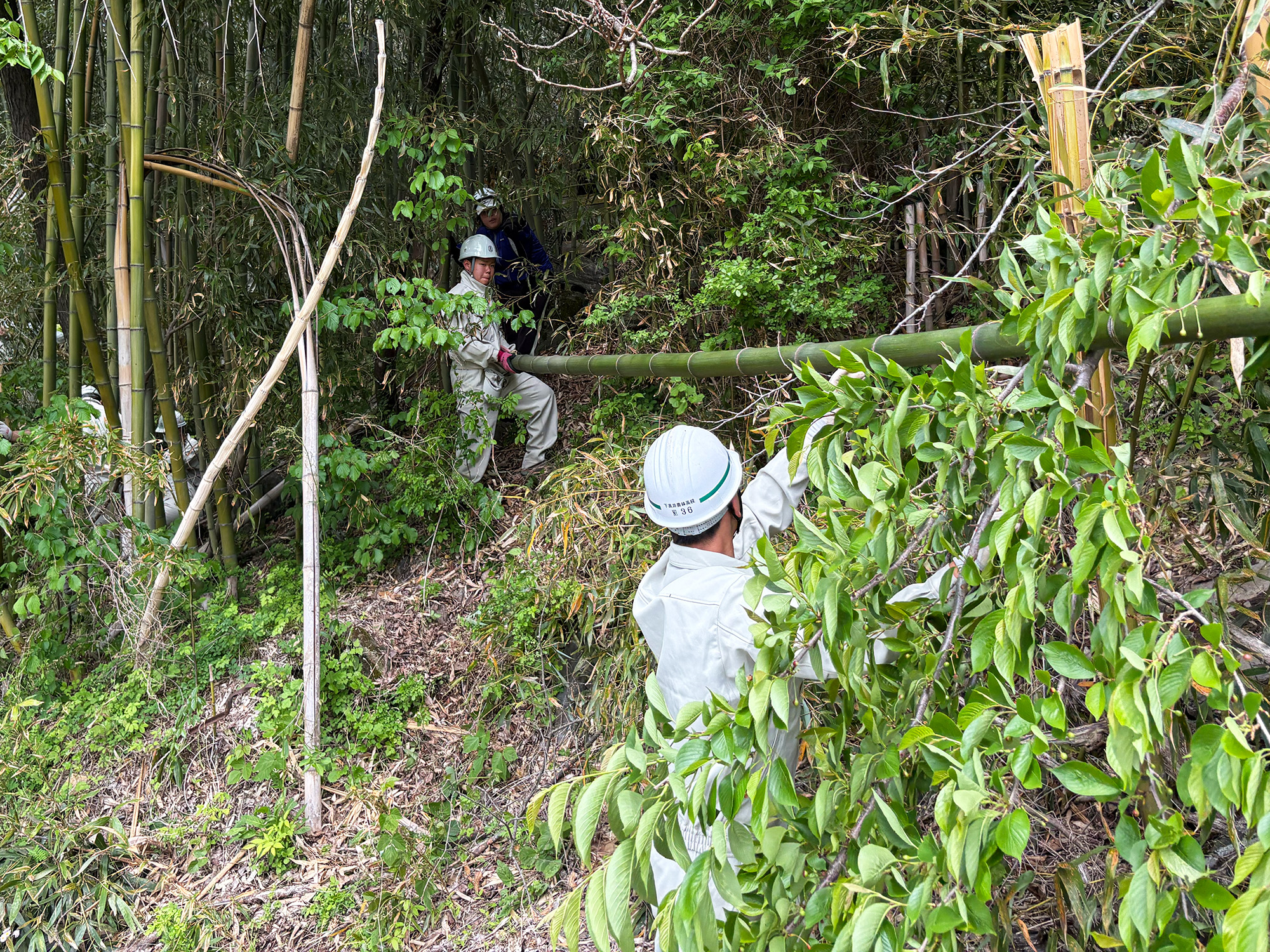 竹取物語２０２５