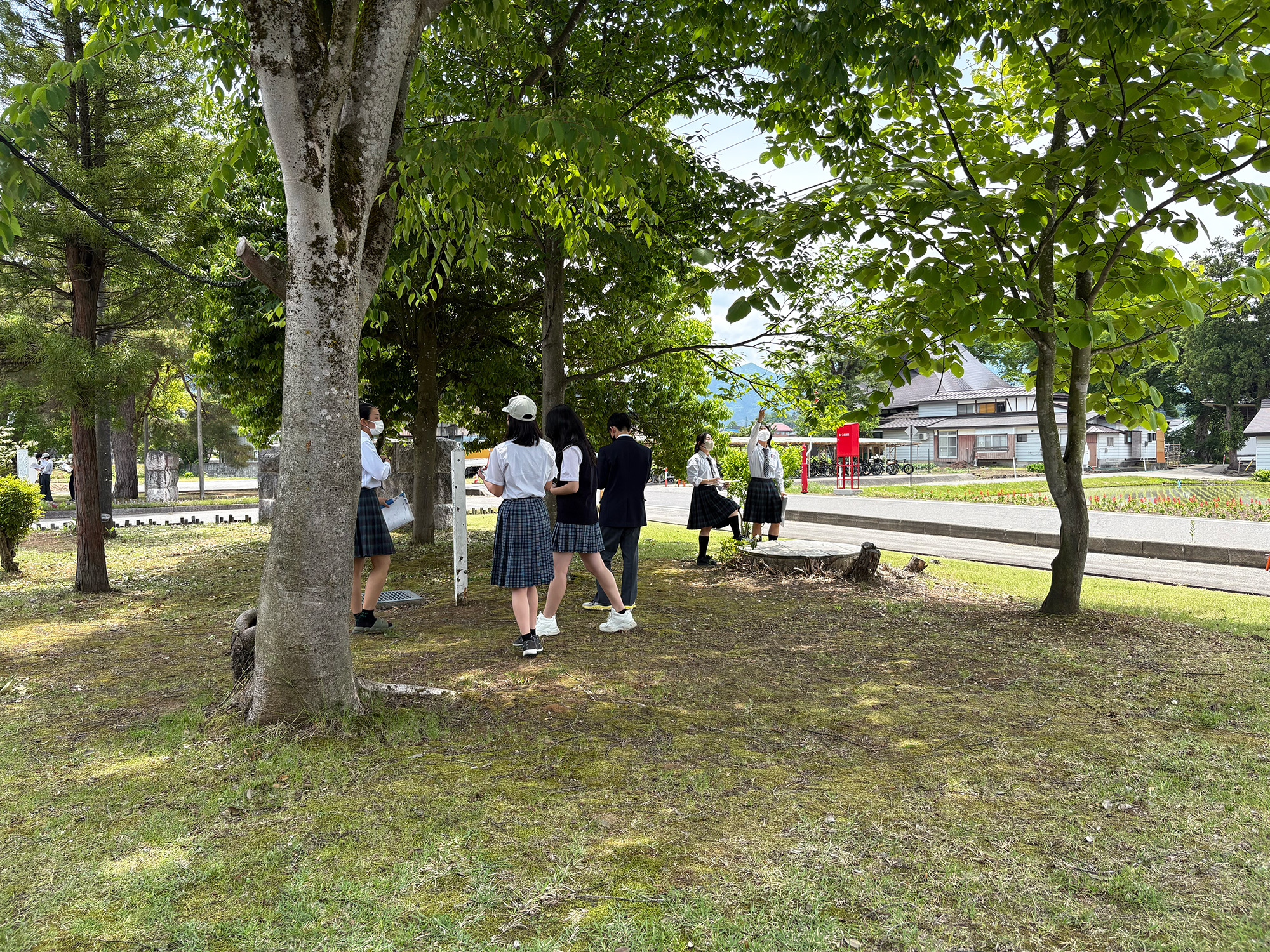 樹木図鑑づくり