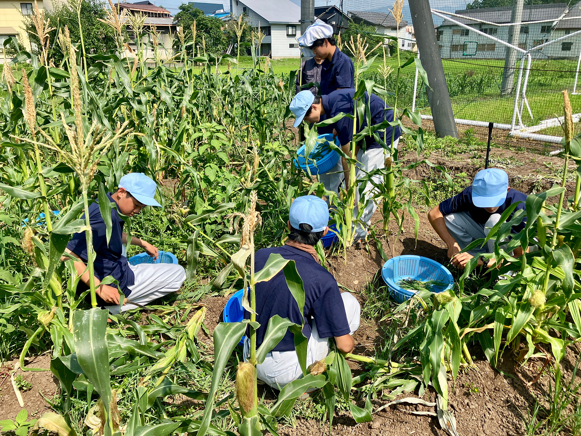 農業は草と動物との戦い