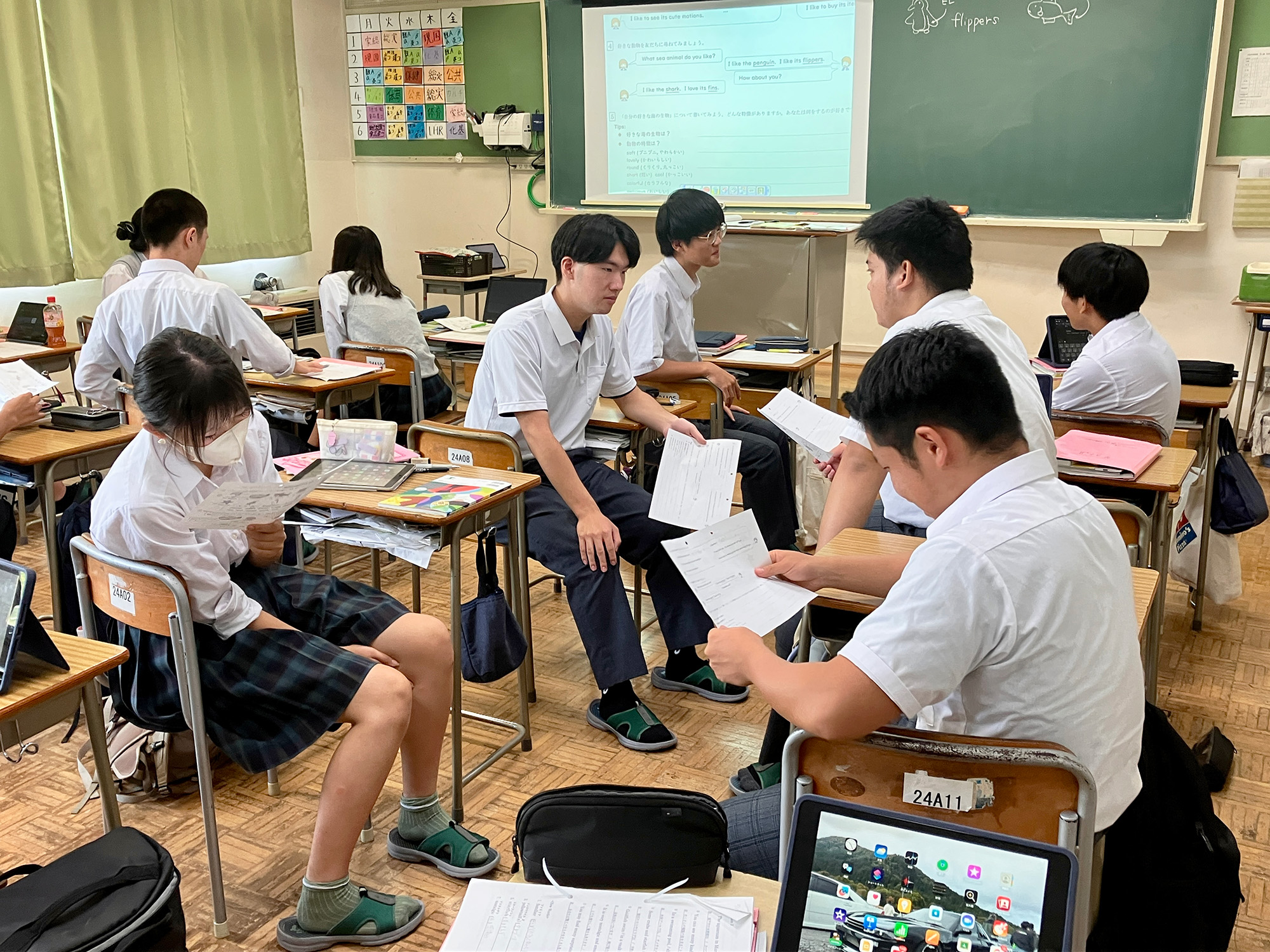 海の生物、何が好き？