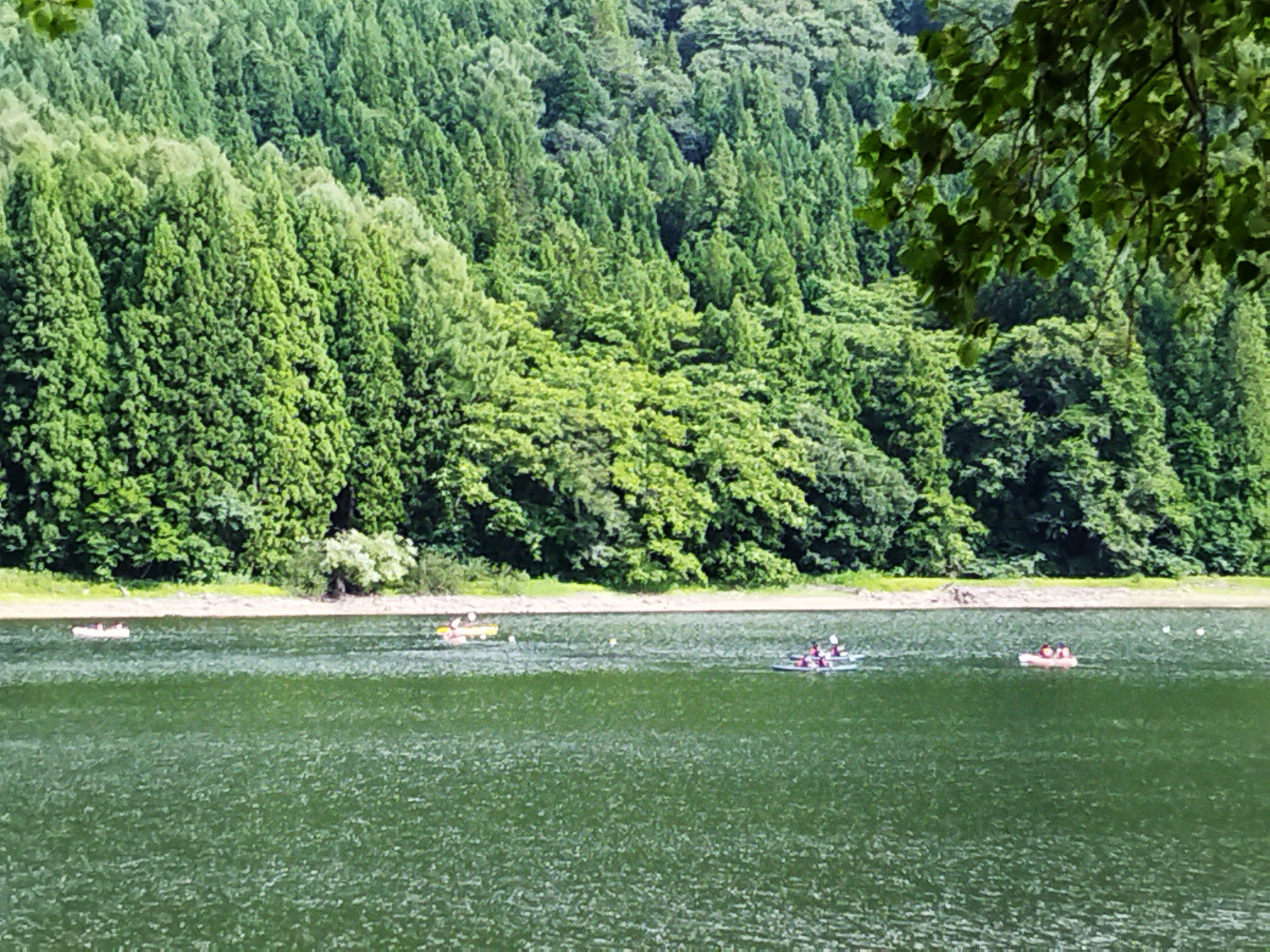 トンボを探せ！