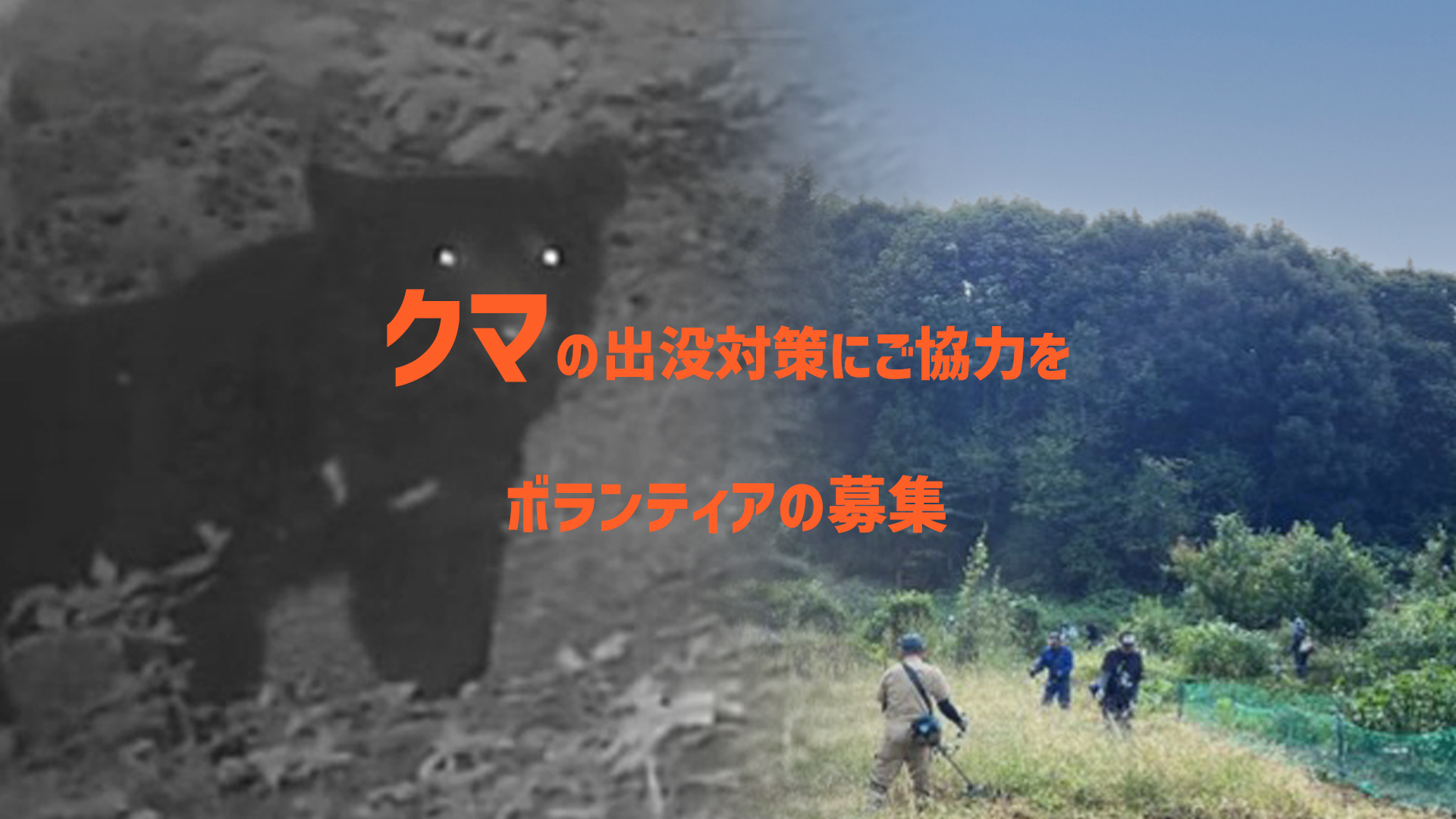 クマ対策ボランティア募集