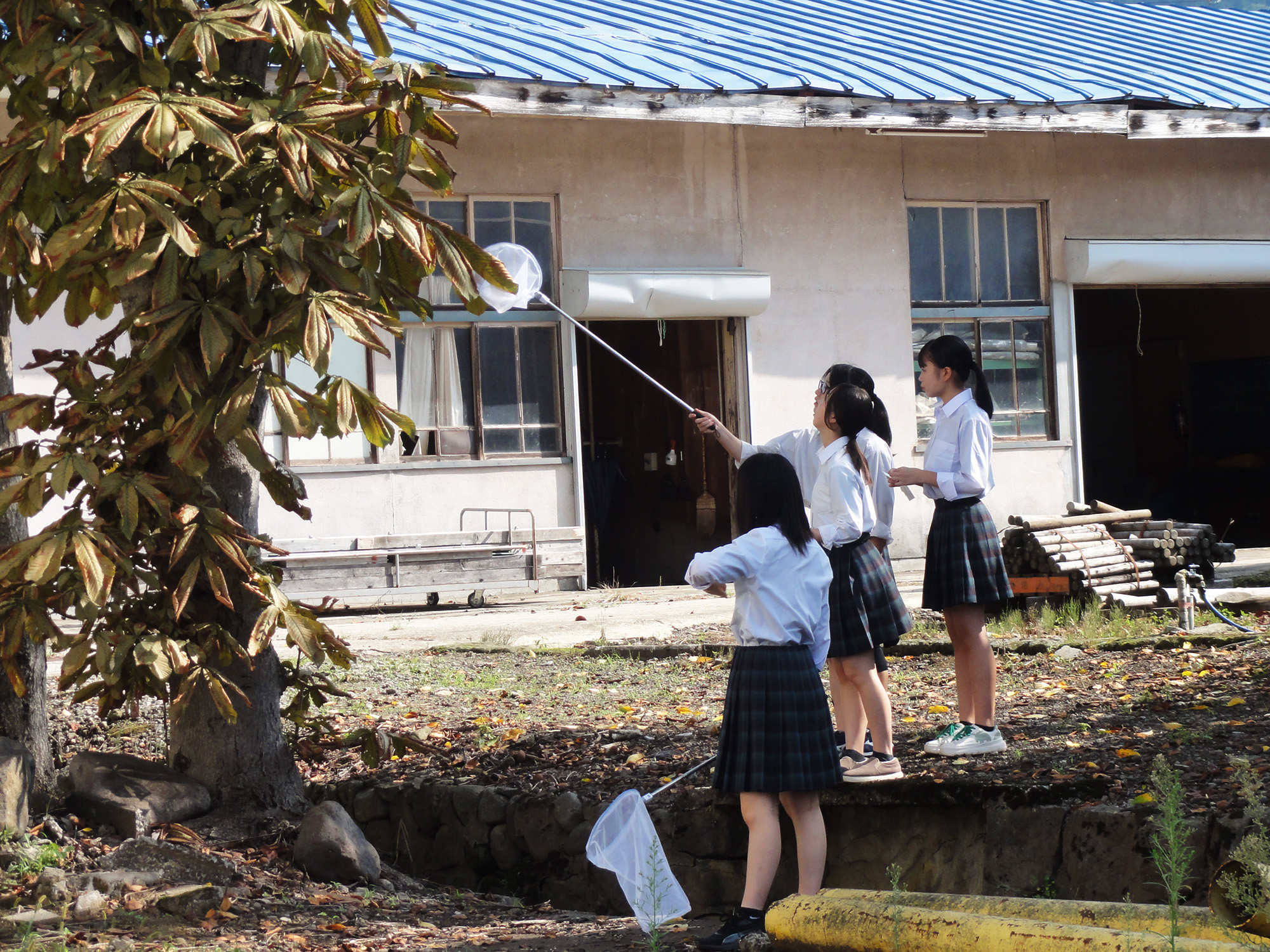 トンボを探せ！