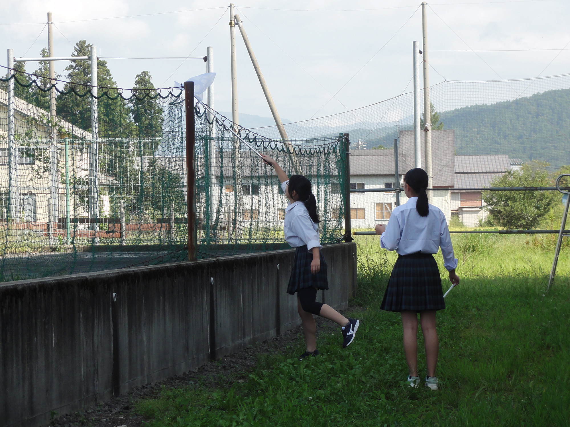 トンボを探せ！