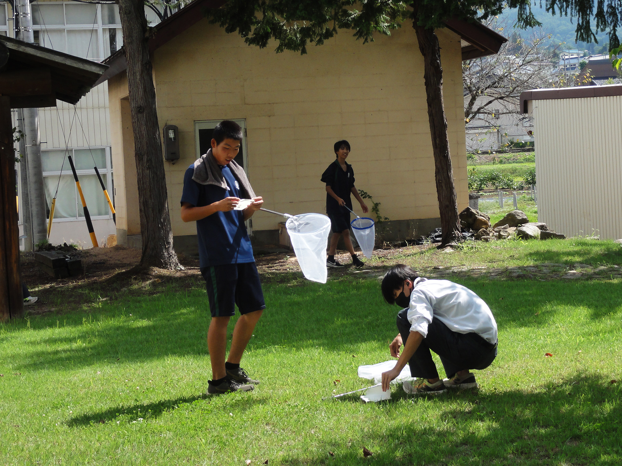 トンボを探せ！