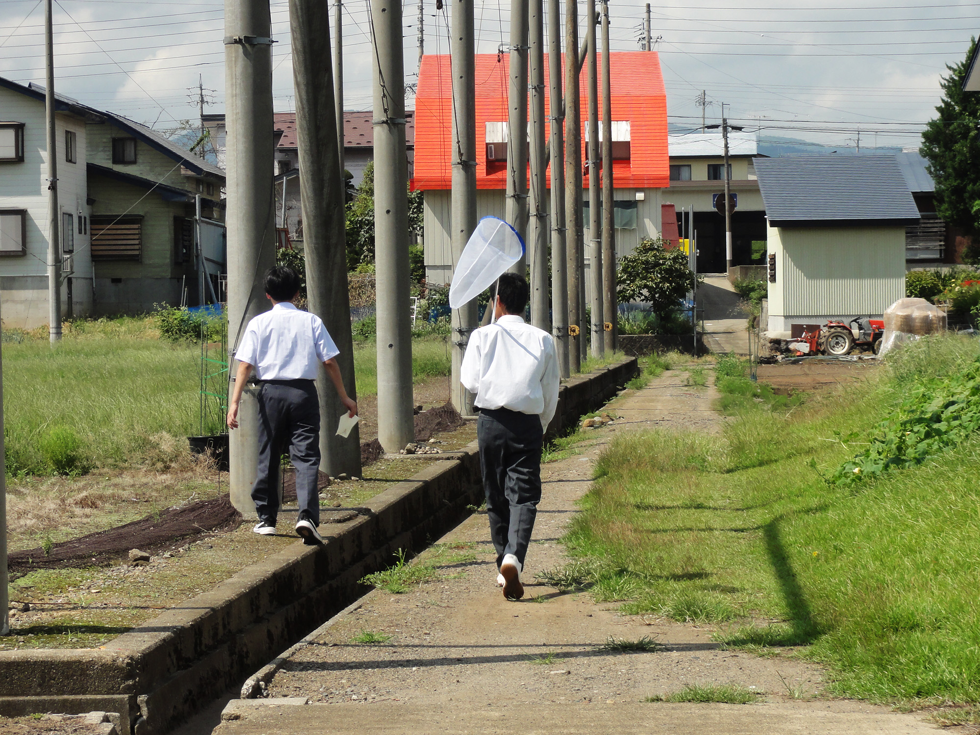 トンボを探せ！