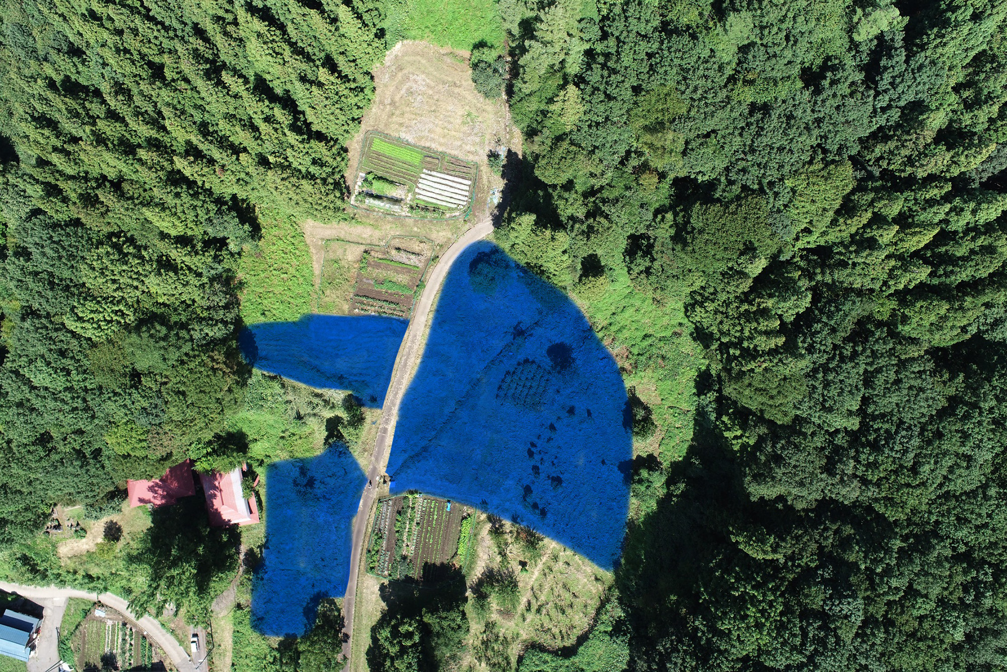 クマ被害を防げ