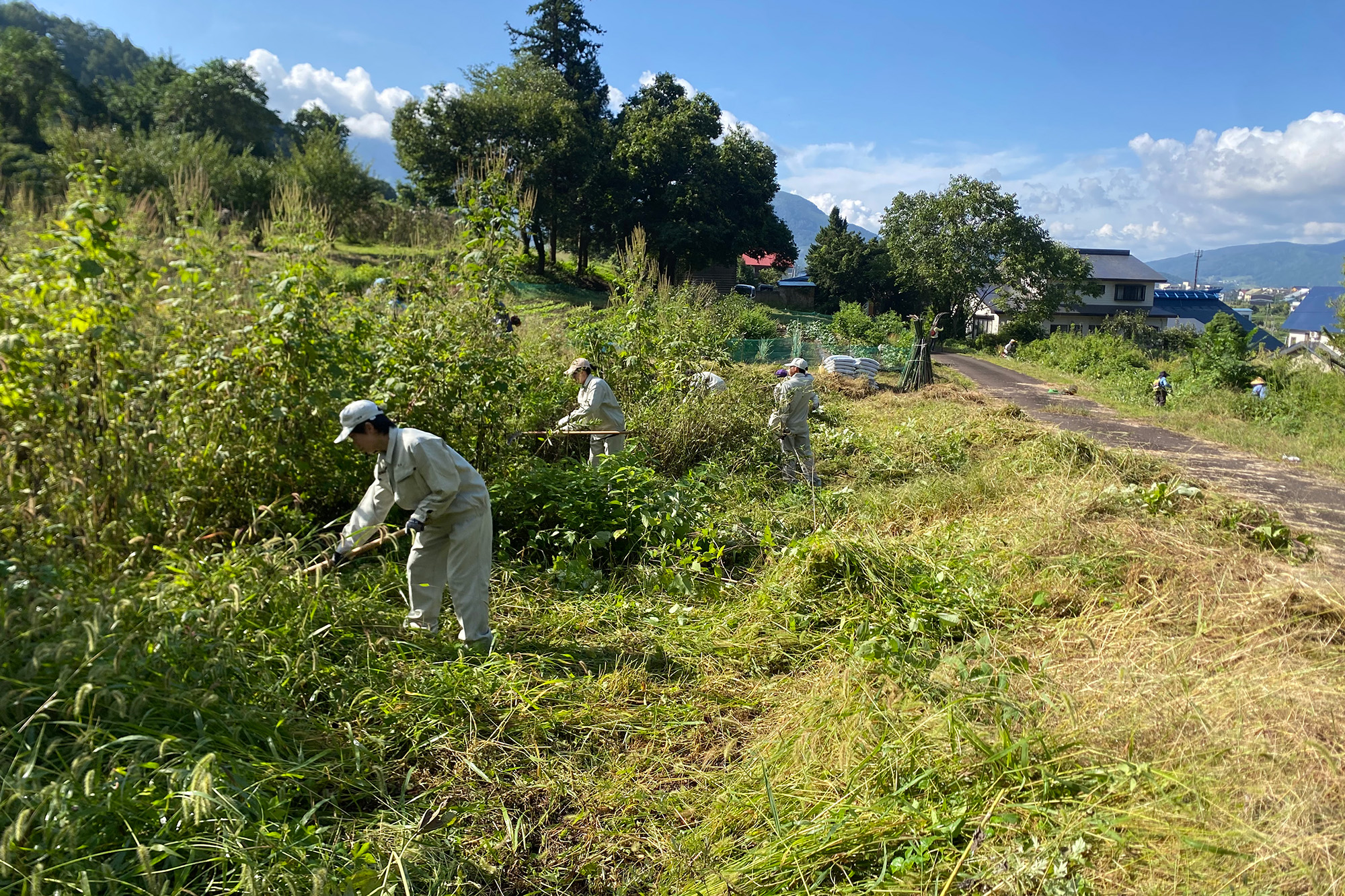 クマ被害を防げ