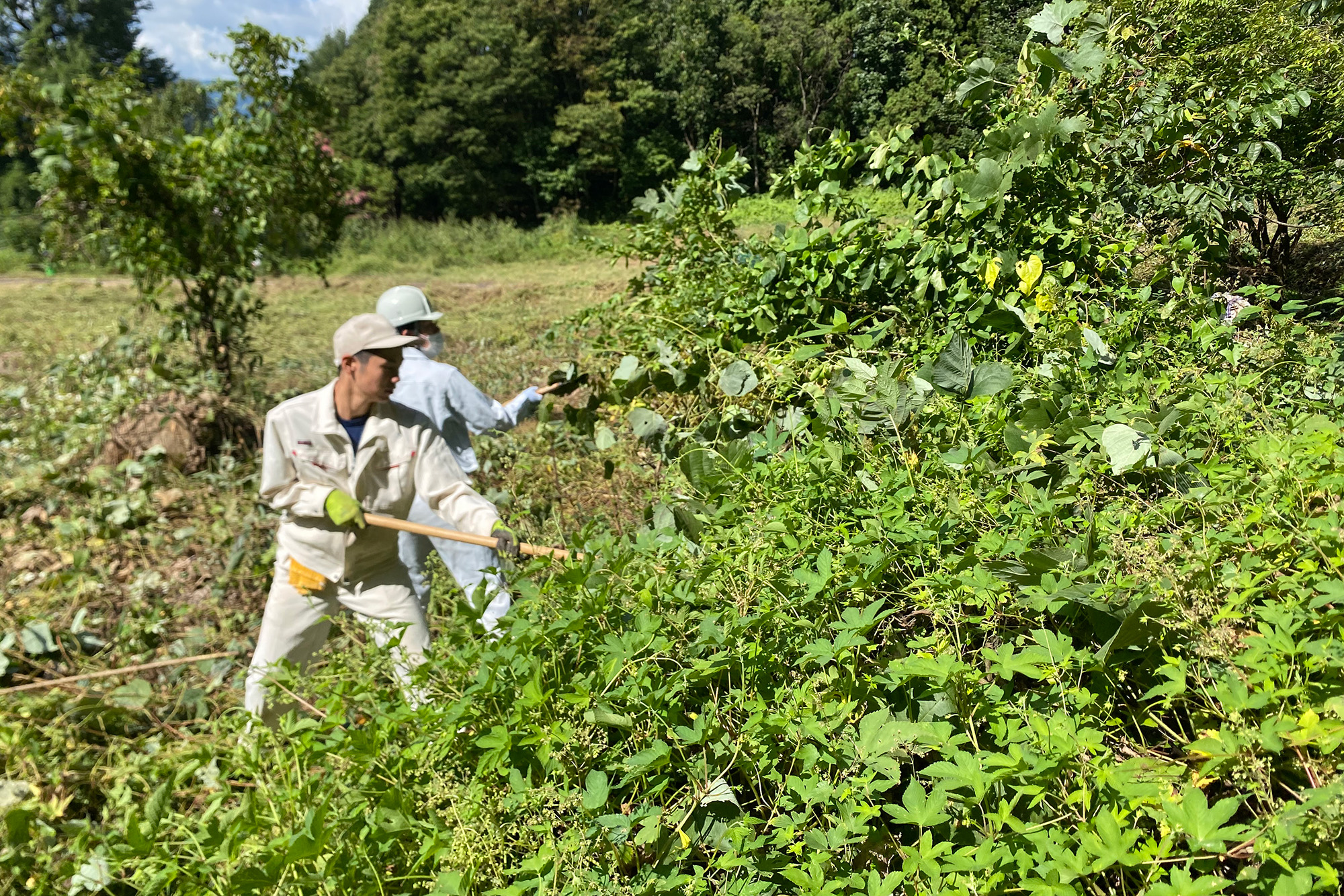 クマ被害を防げ
