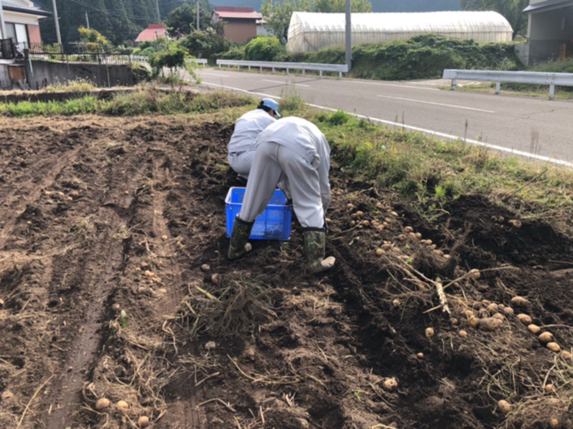 秋のキャリアウィーク