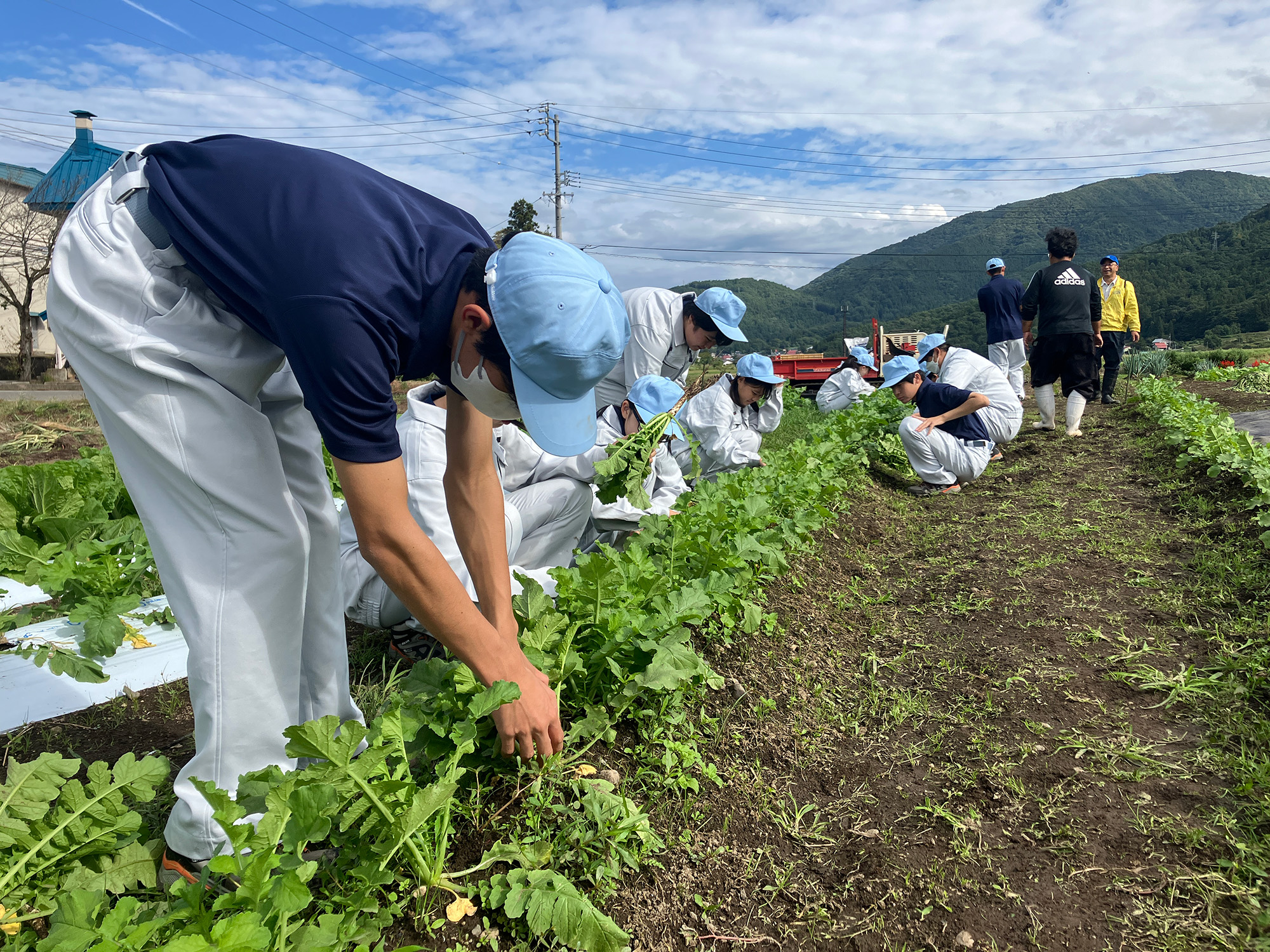 最新ニュース2の画像
