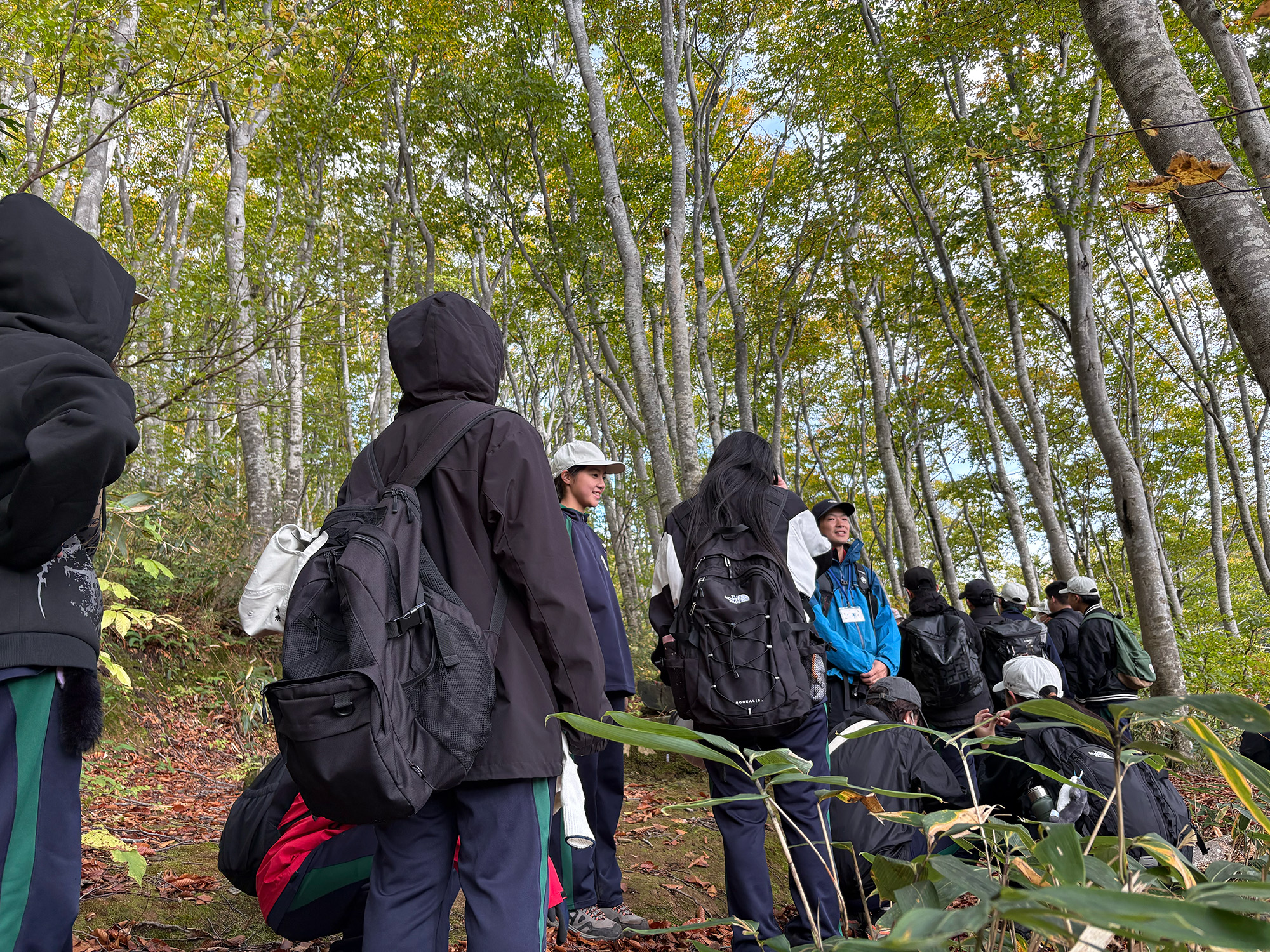 広葉樹林研修＿なべくら高原を歩く生徒