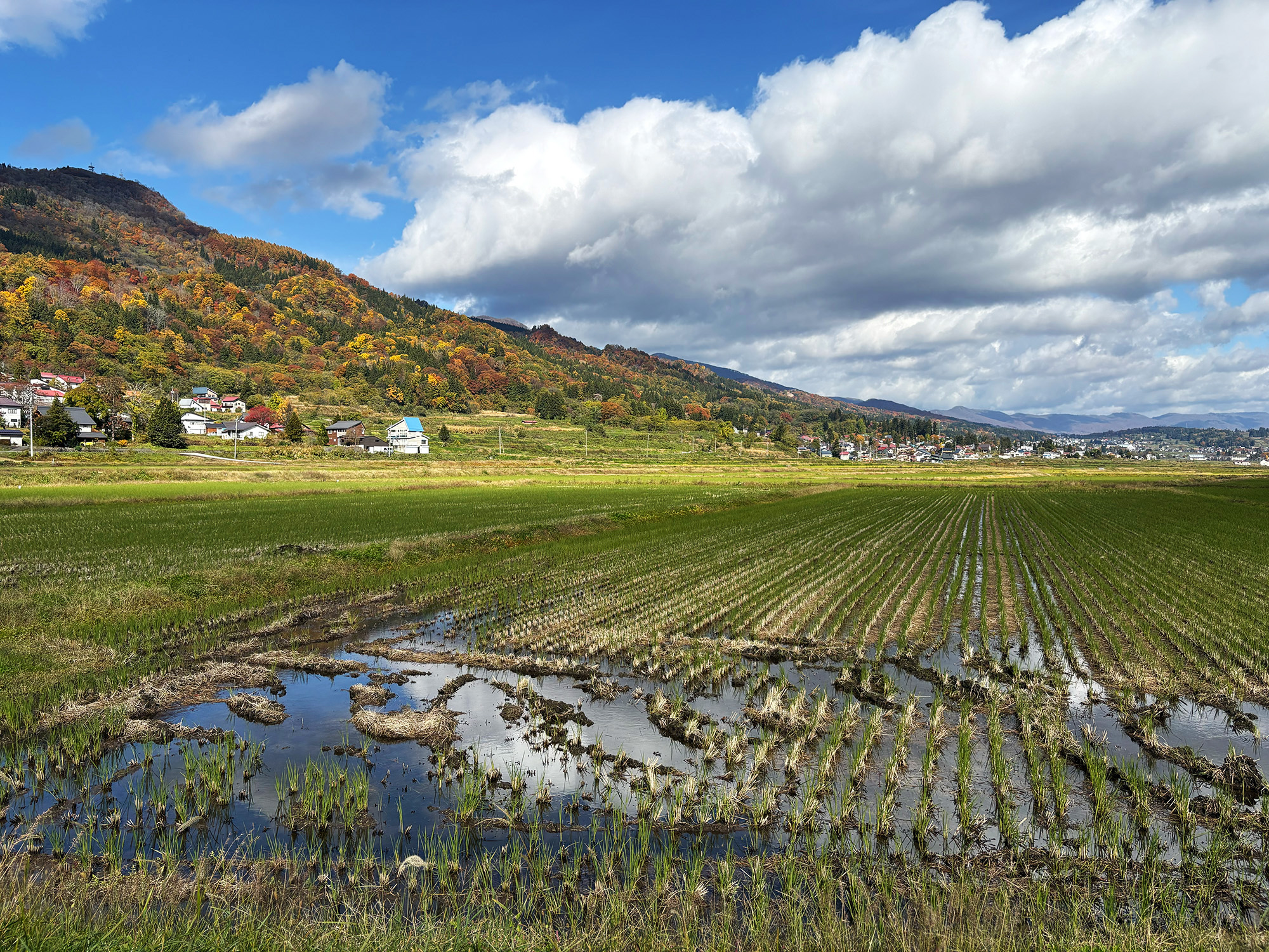 農業水利を学ぶ