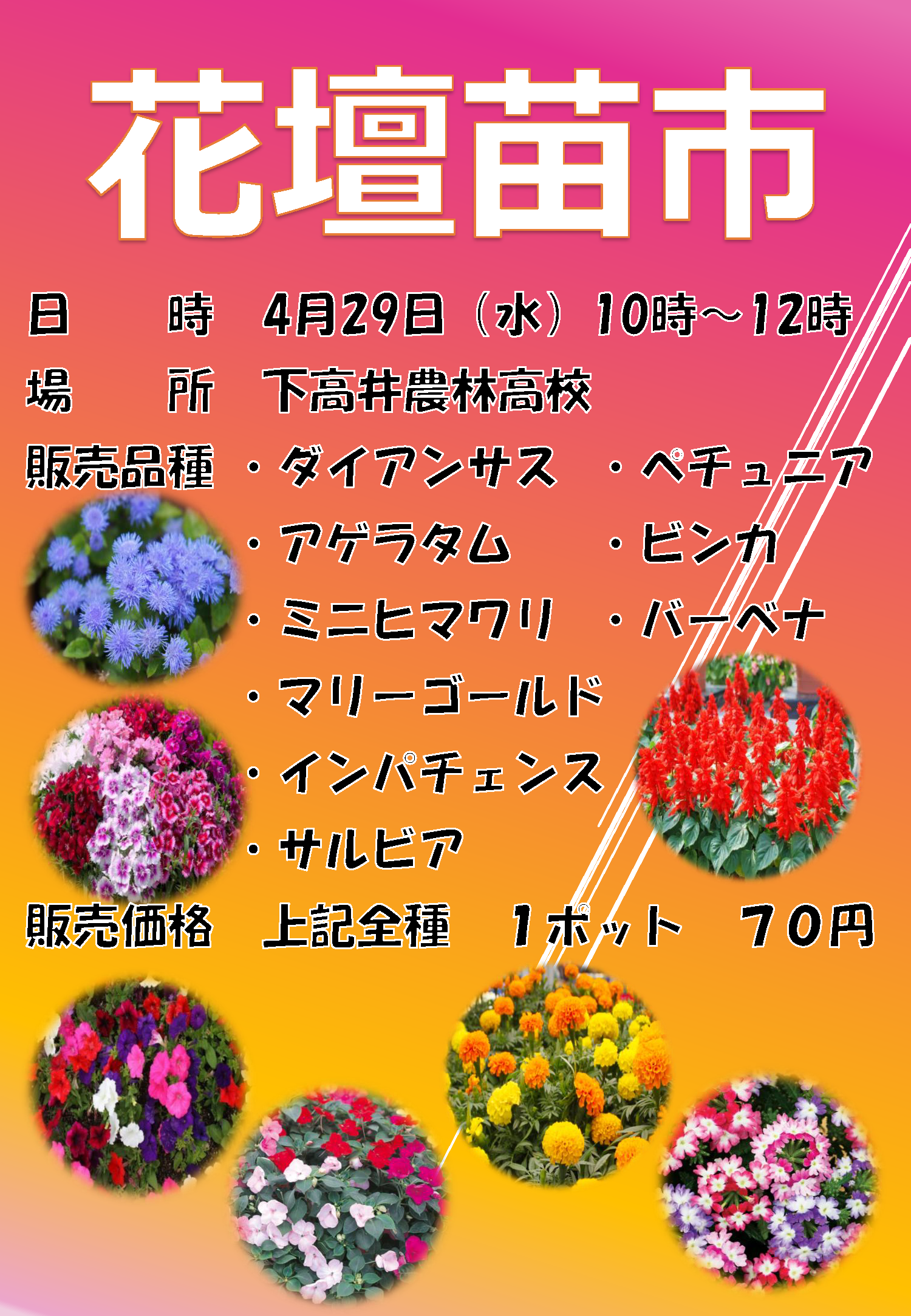 苗市