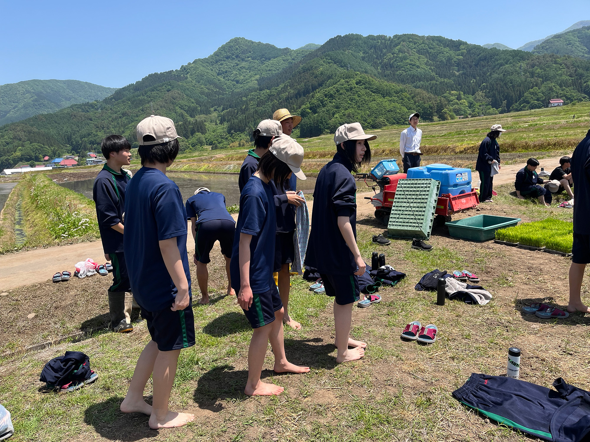 田植