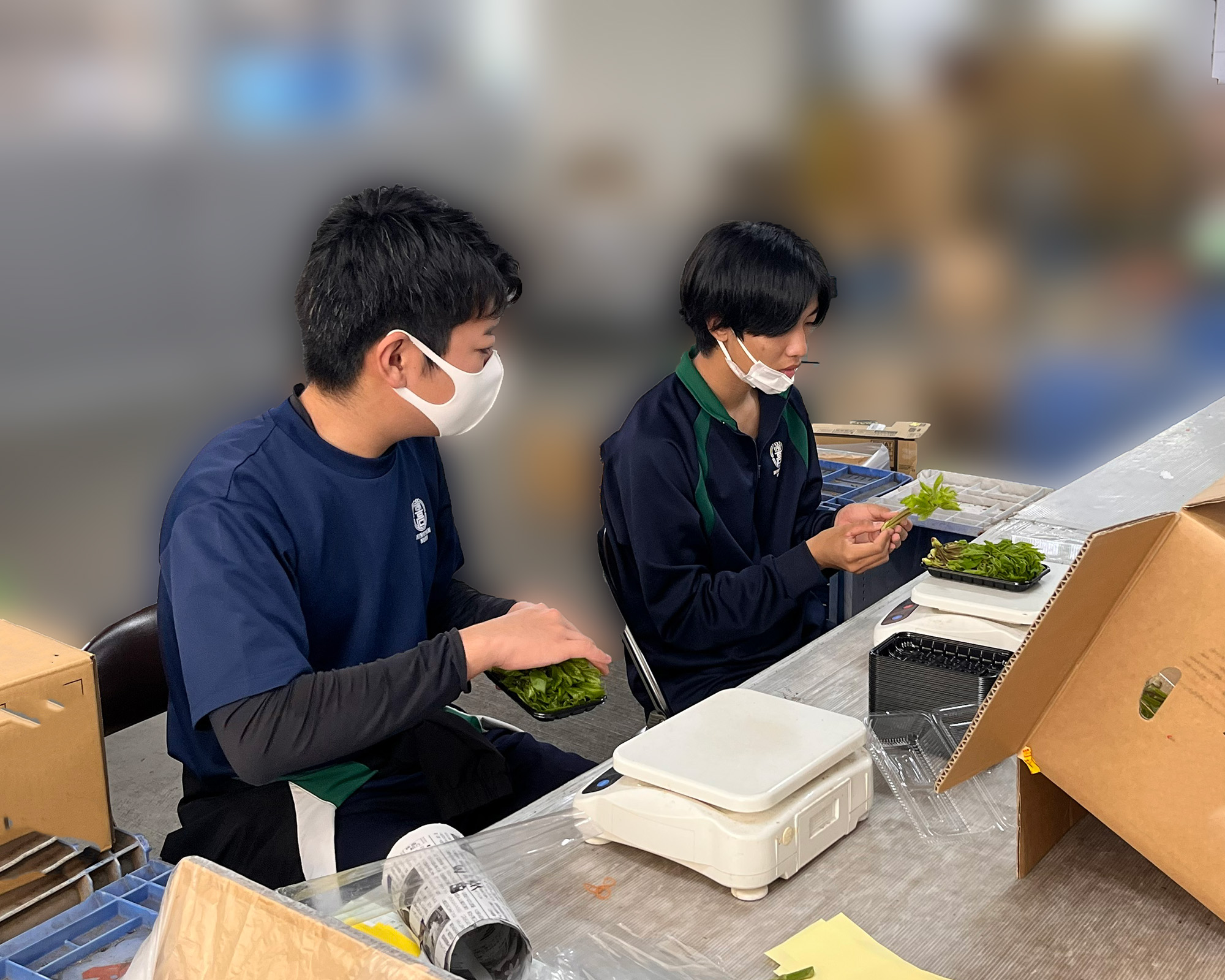 キャリアウィーク