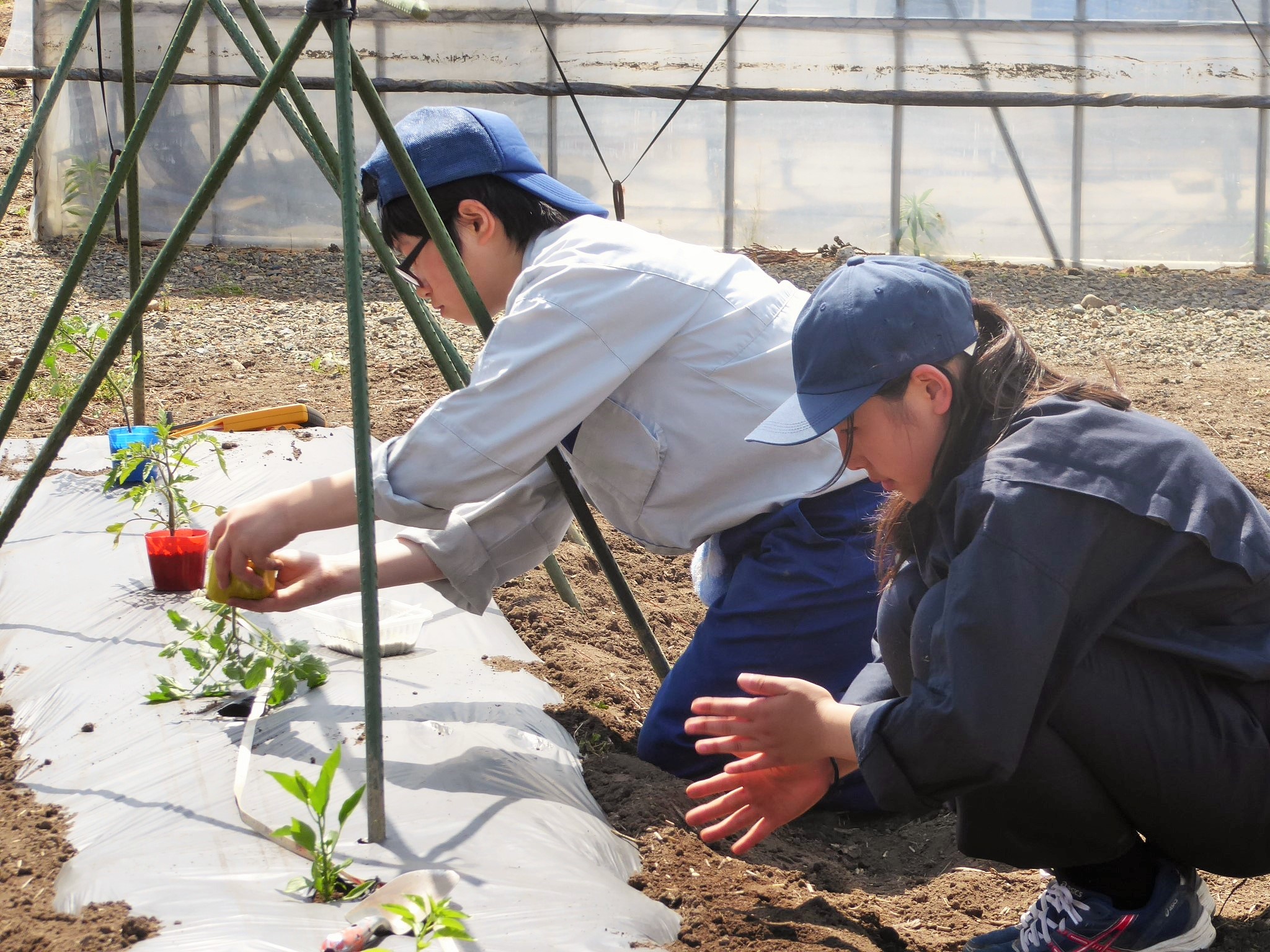 長野県須坂創成高等学校 公式サイト 農業科 Topics 長野県須坂創成高等学校 公式サイト 農業科 Topics