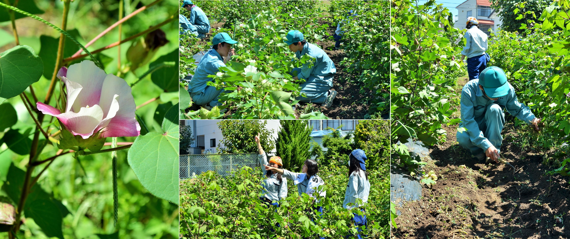 長野県須坂創成高等学校 公式サイト 農業科 Topics 長野県須坂創成高等学校 公式サイト 農業科 Topics