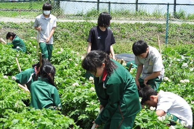 生物環境系列体験授業（草むしり作業）