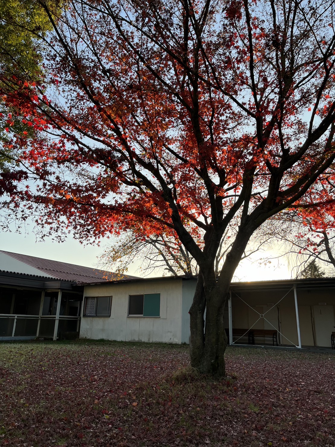 蓼高DAYS 11月 長野県蓼科高等学校