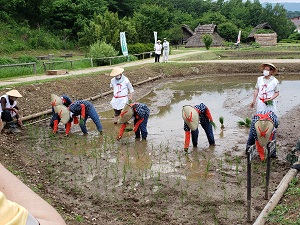 お田植え祭り